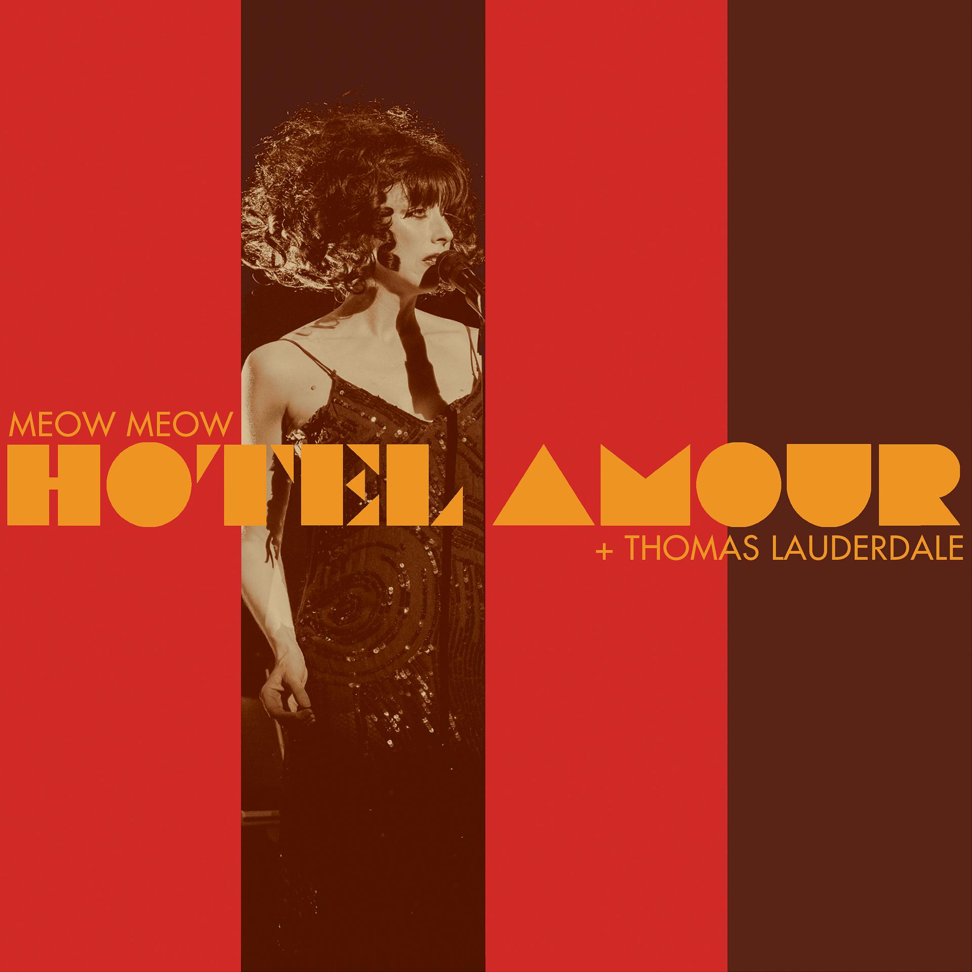 Постер альбома Hotel Amour