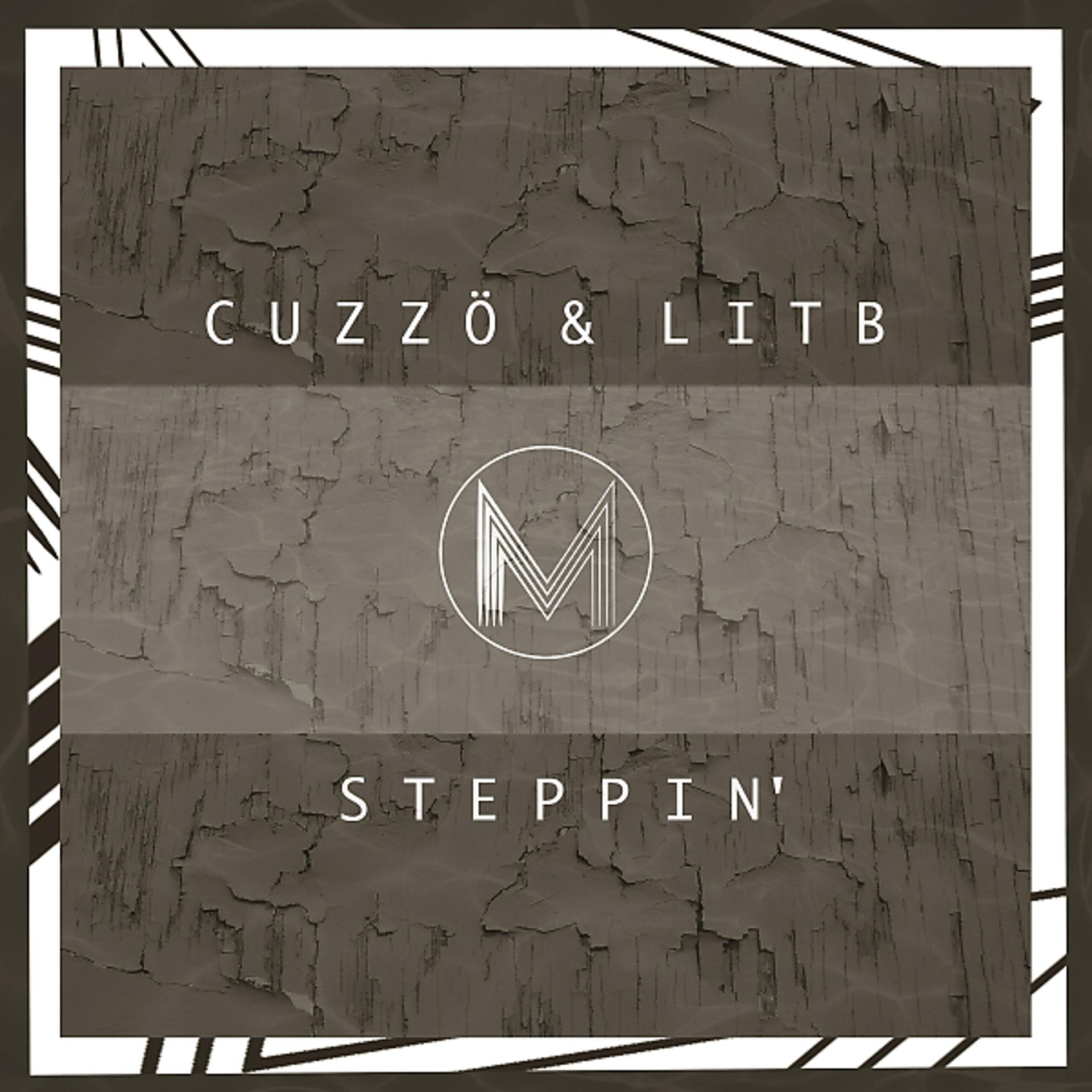 Постер альбома Steppin' (feat. LITB)