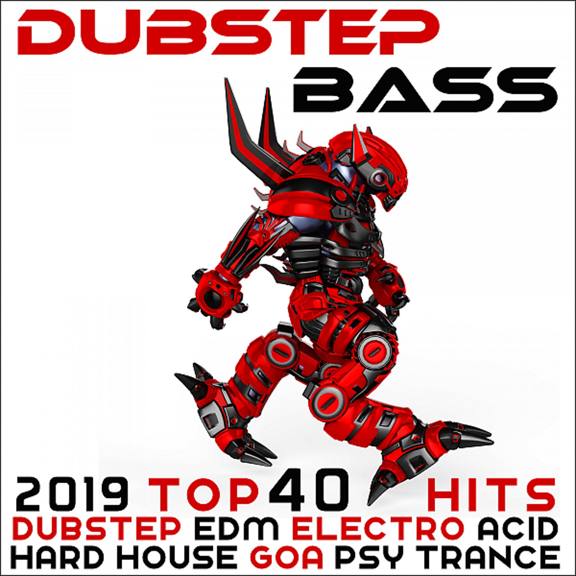 Постер альбома Dubstep Bass - 2019 Top 40 Hits Dubstep, EDM, Electro, Acid, Trap, Hip Hop, Drum & Bass