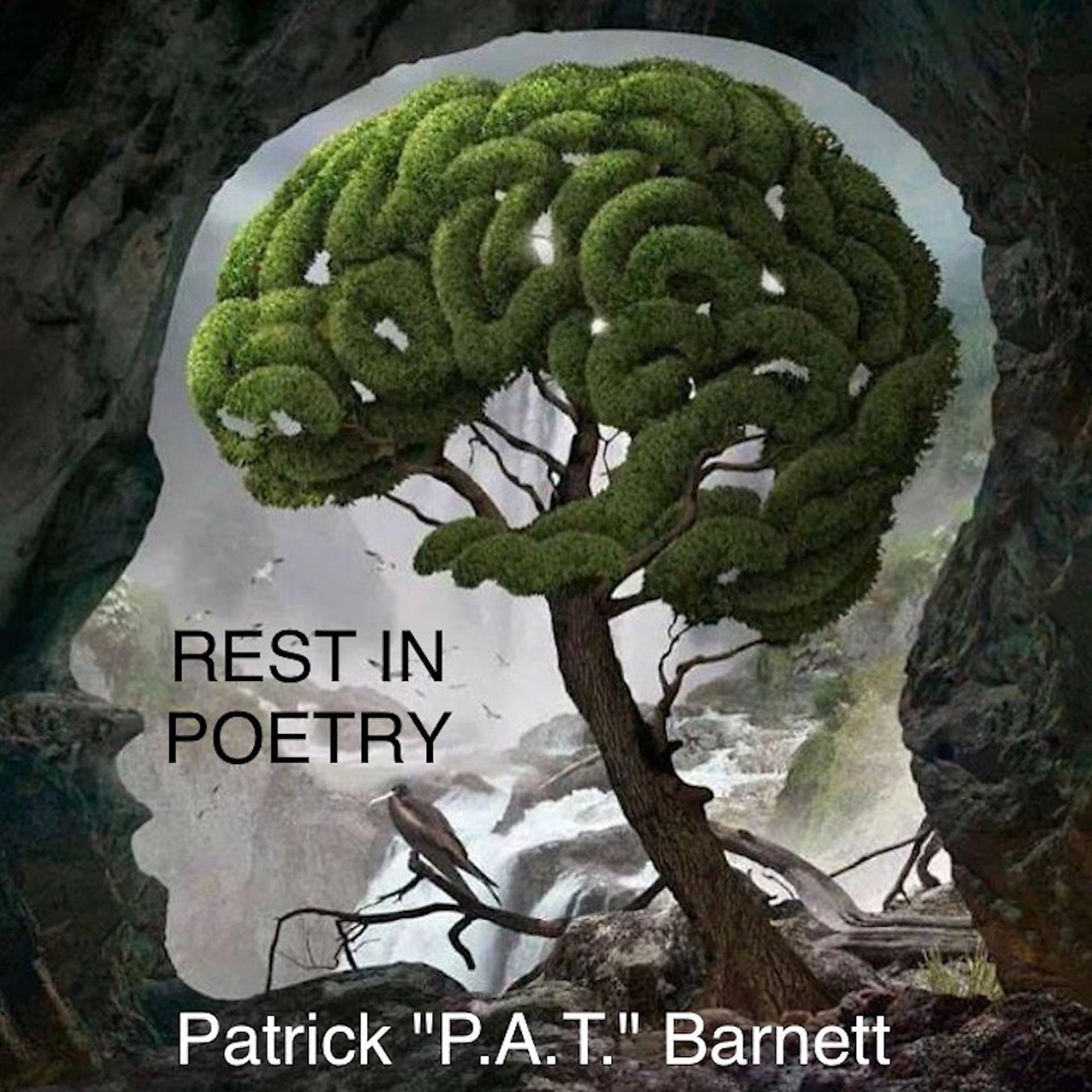 Постер альбома Rest in Poetry