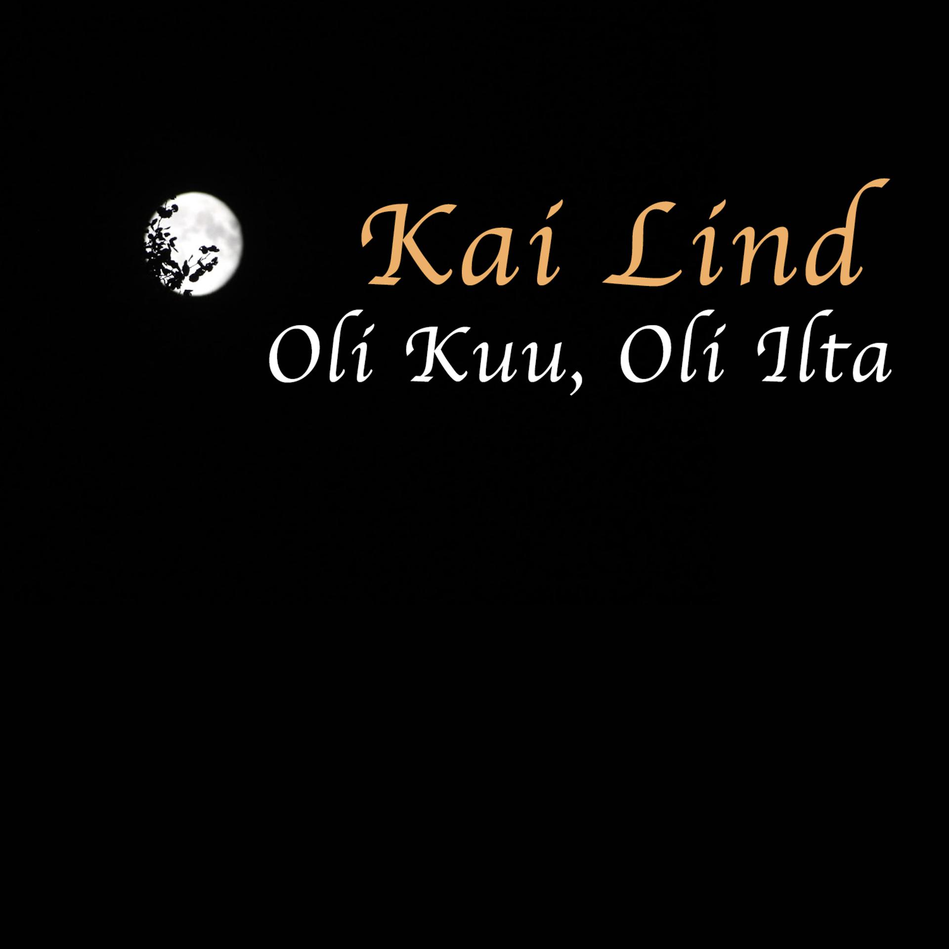 Постер альбома Oli Kuu, Oli Ilta