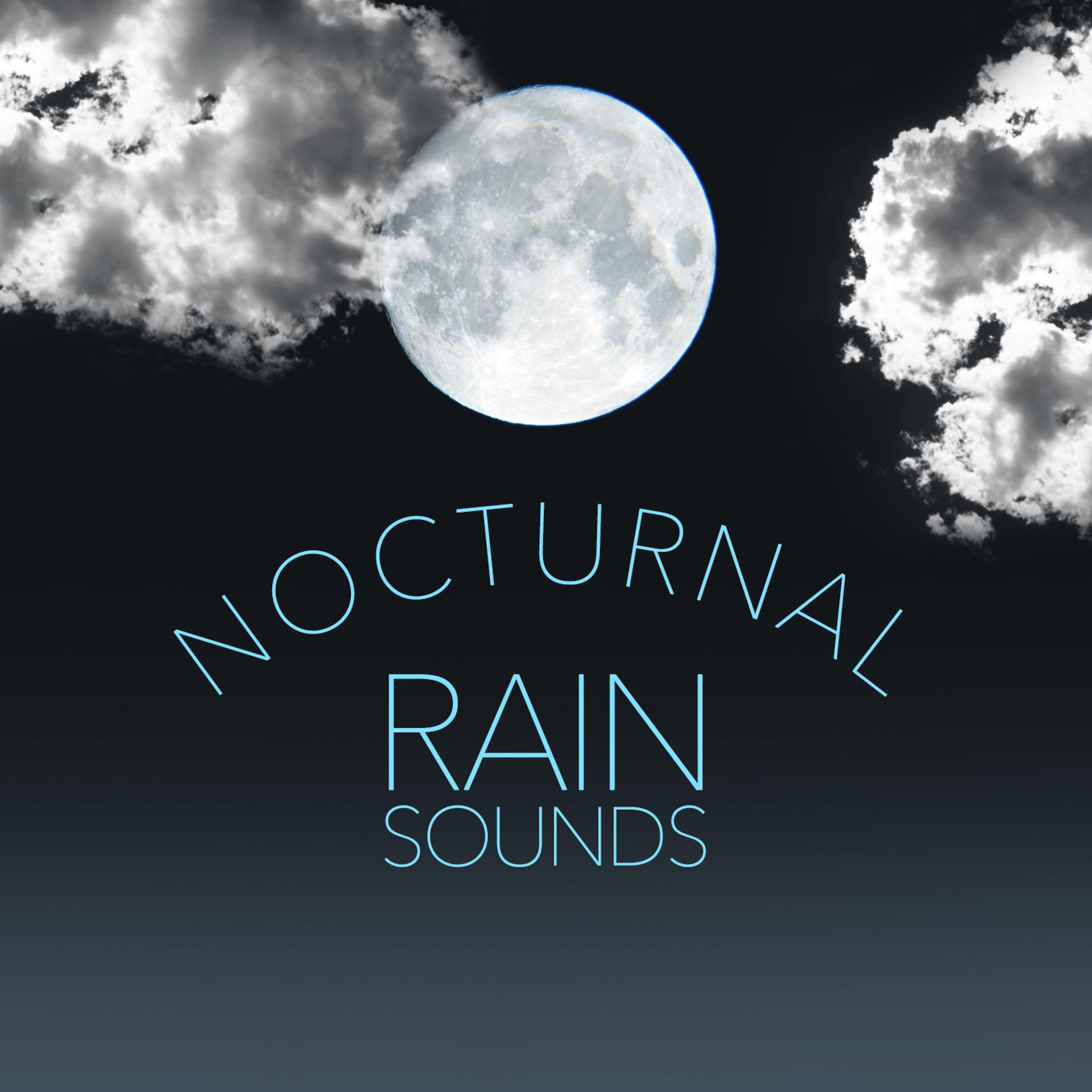 Постер альбома Nocturnal Rain Sounds