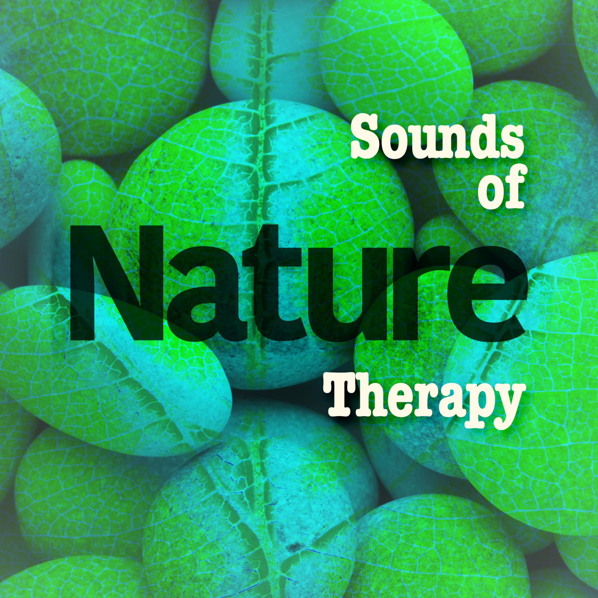 Постер альбома Sounds of Nature: Therapy