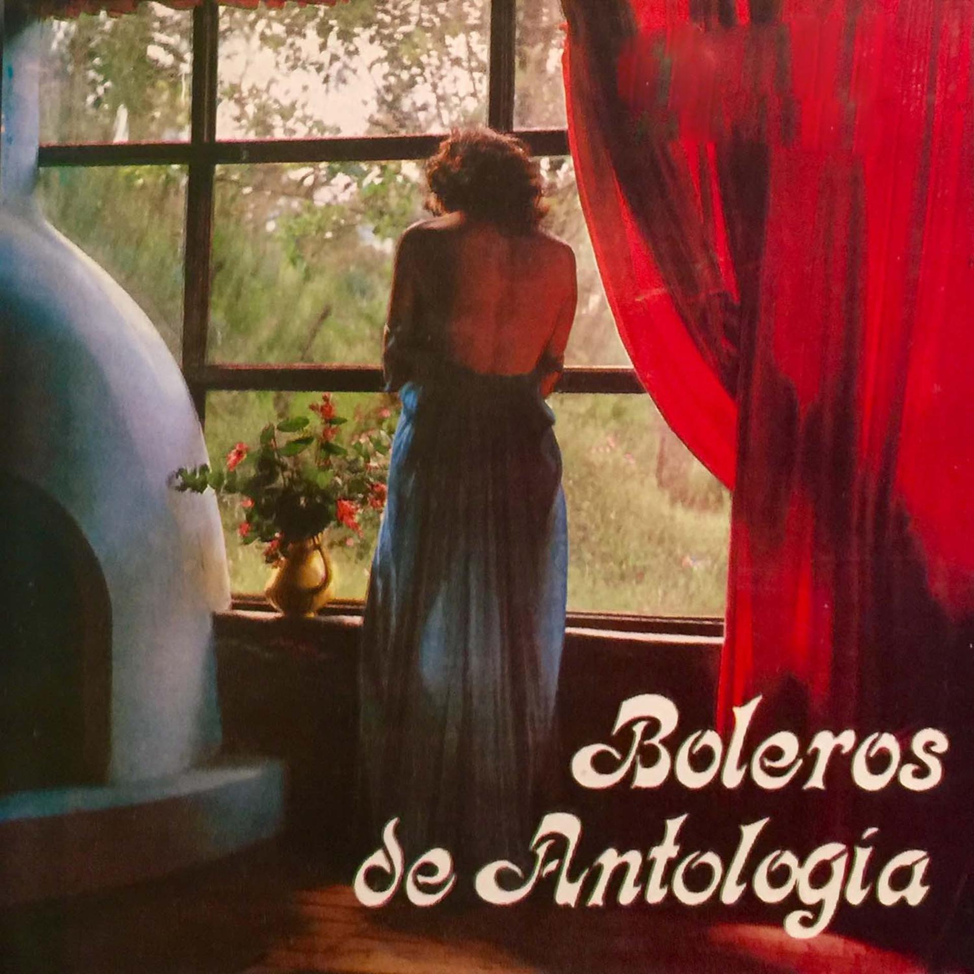 Постер альбома Boleros de Antología