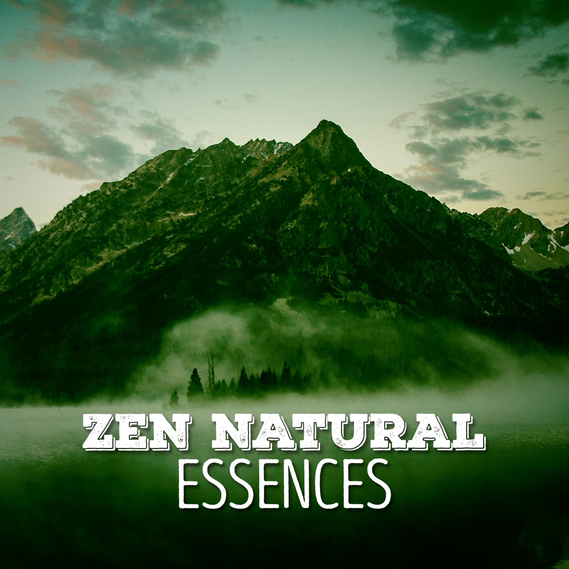 Постер альбома Zen Natural Essences