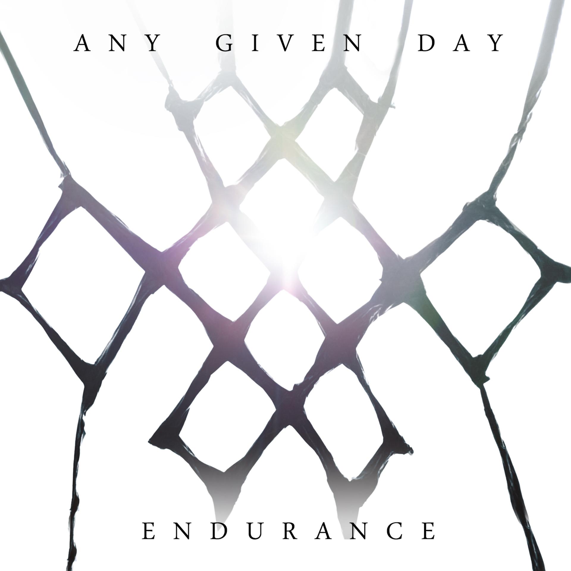 Постер альбома Endurance
