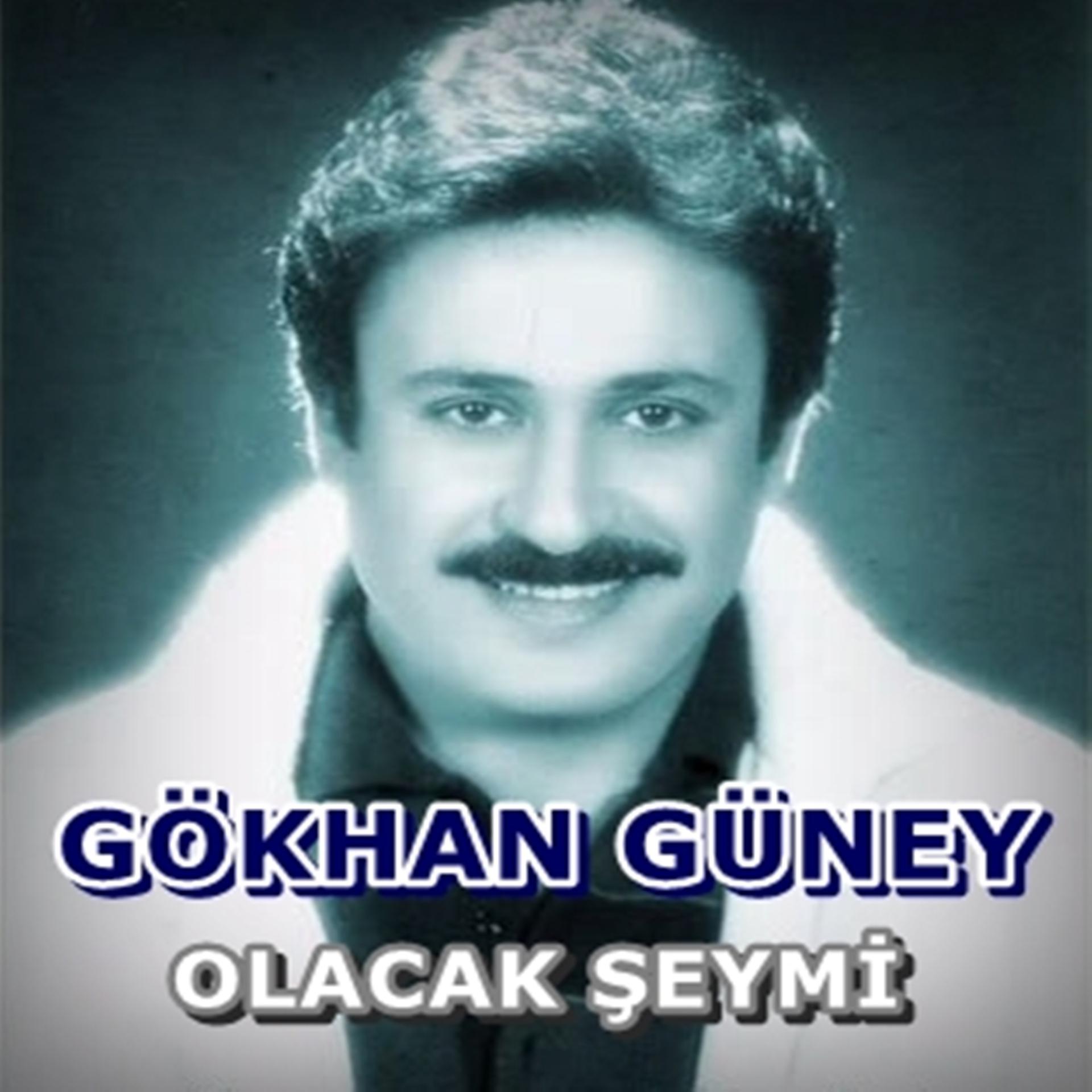 Постер альбома Olacak Şeymi