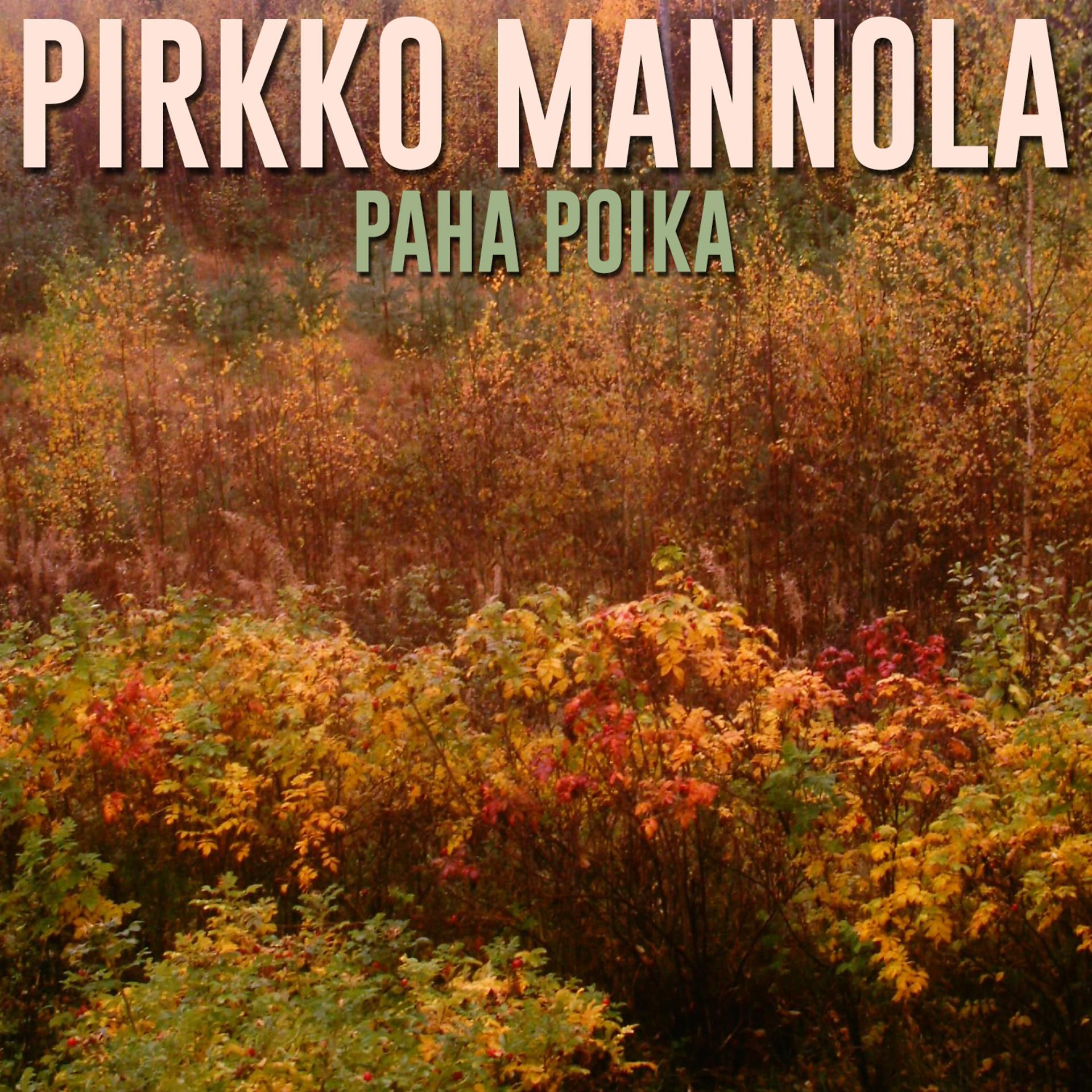 Постер альбома Paha Poika
