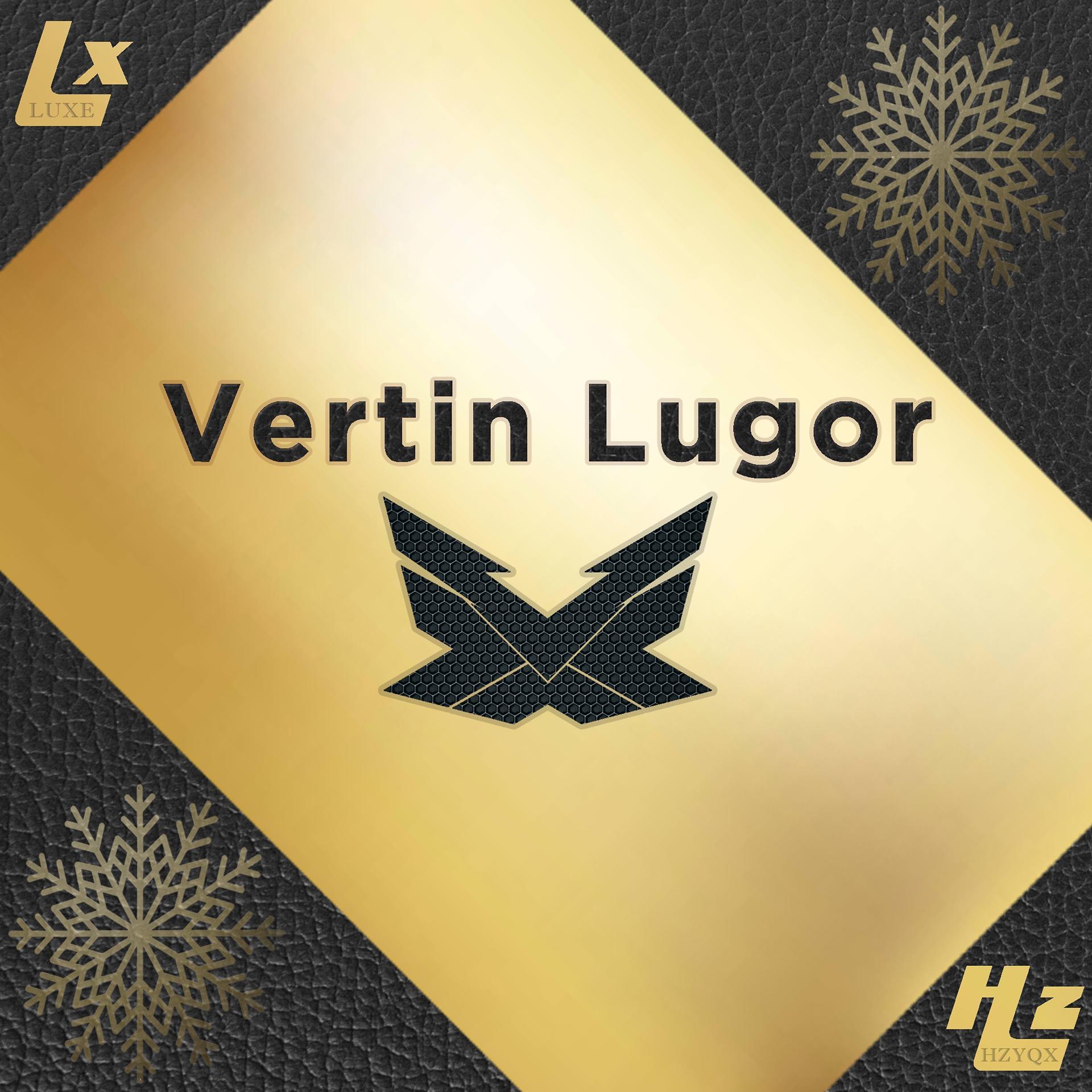 Постер альбома Vertin Lugor X