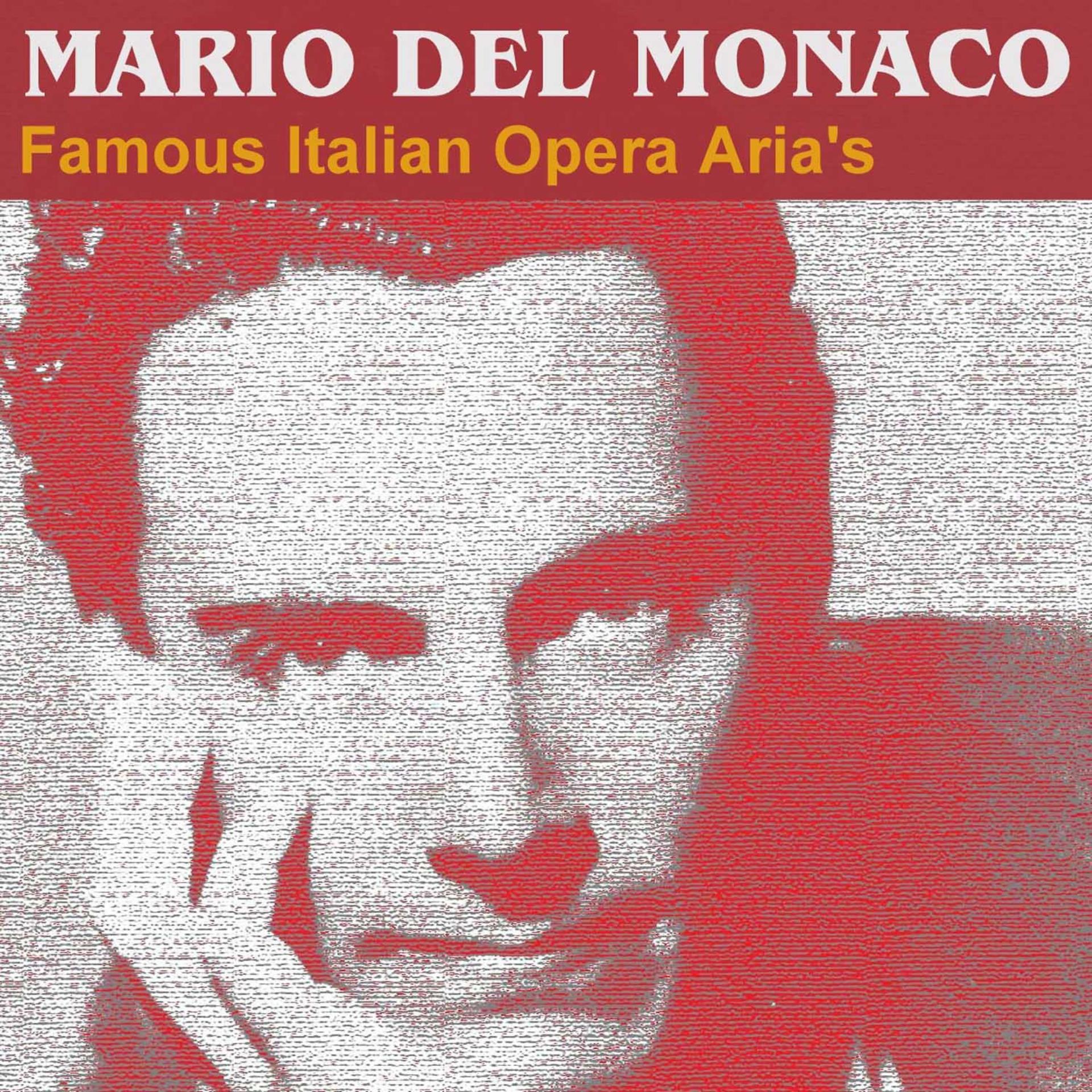 Постер альбома Famous Italian Opera Aria's