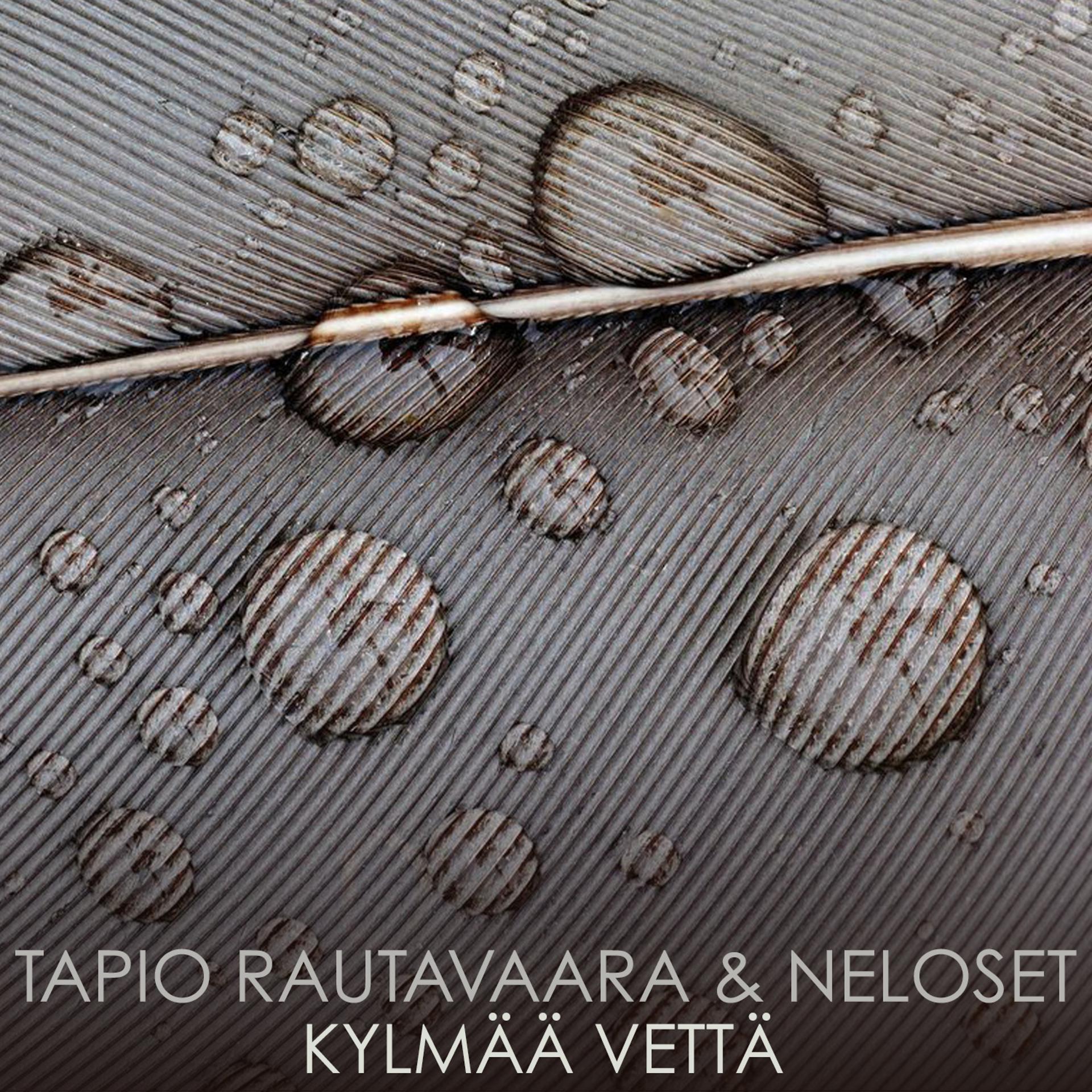 Постер альбома Kylmää Vettä