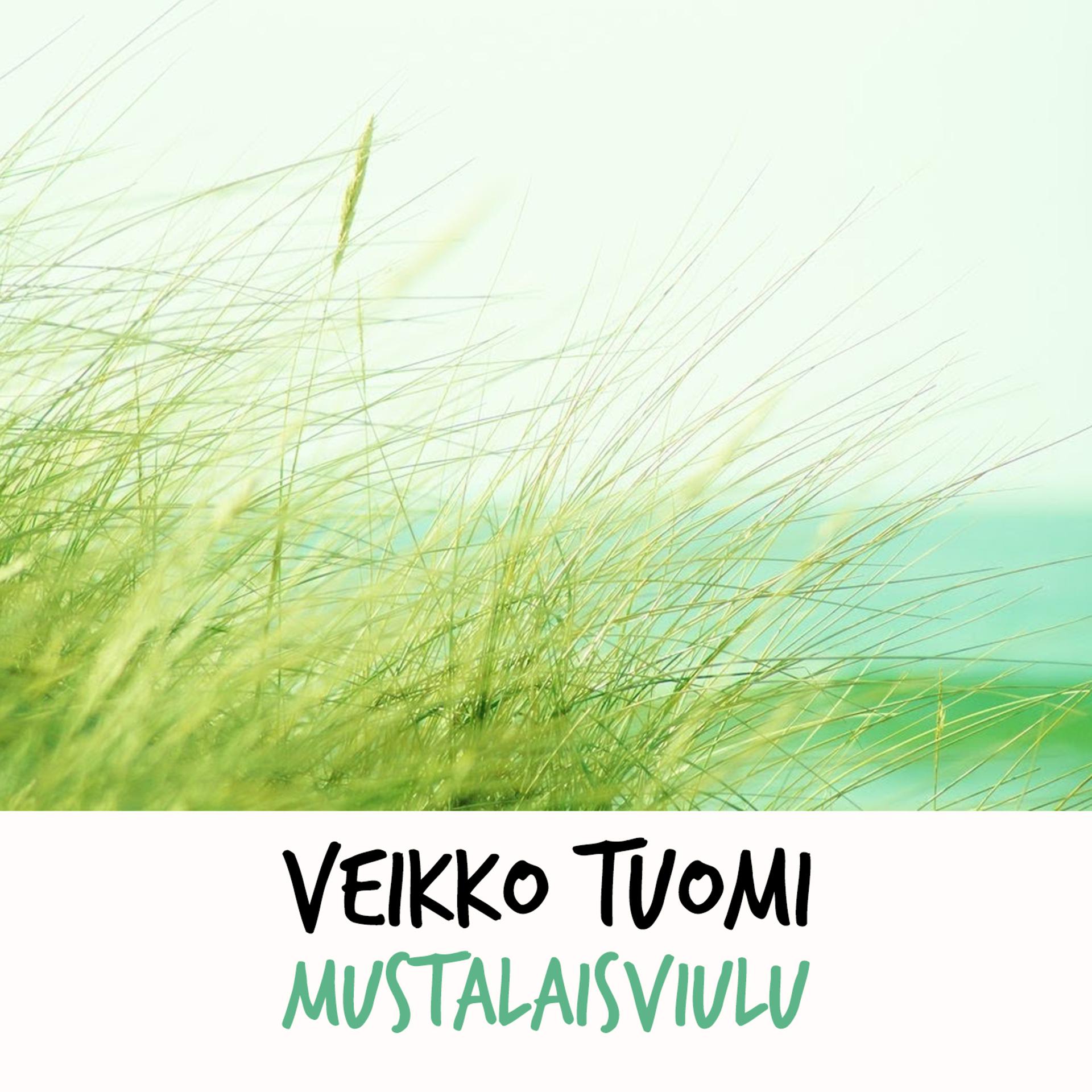Постер альбома Mustalaisviulu