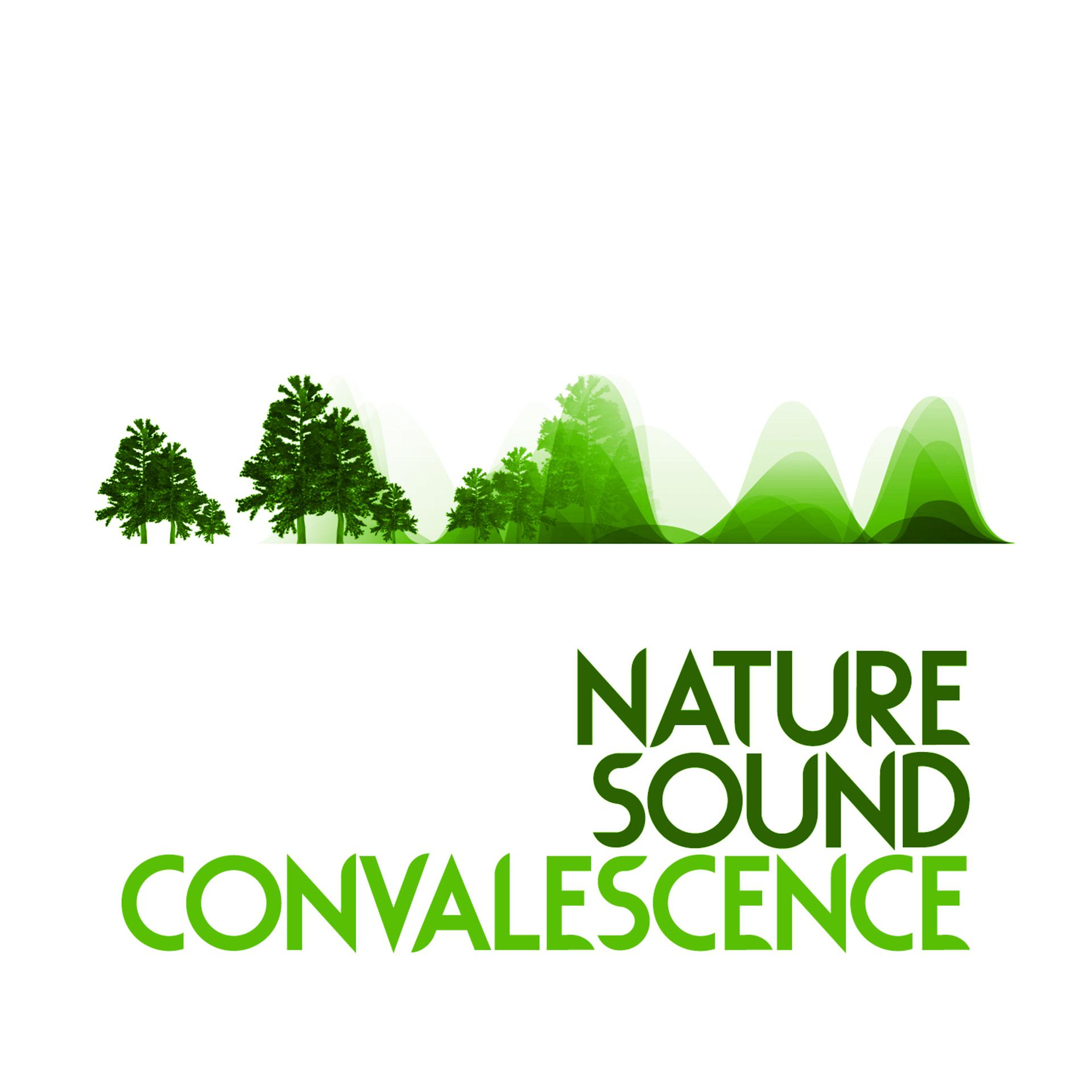 Постер альбома Nature Sound Convalescence