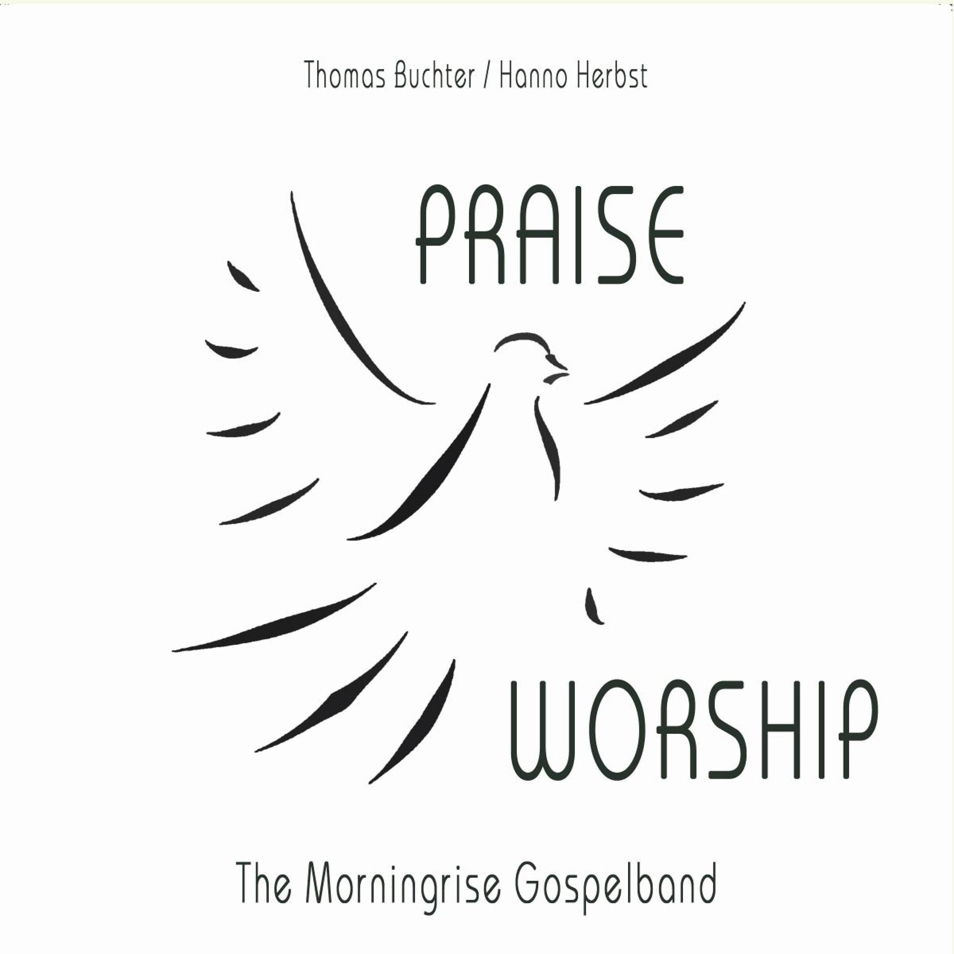 Постер альбома Praise and Worship (Live in Concert)