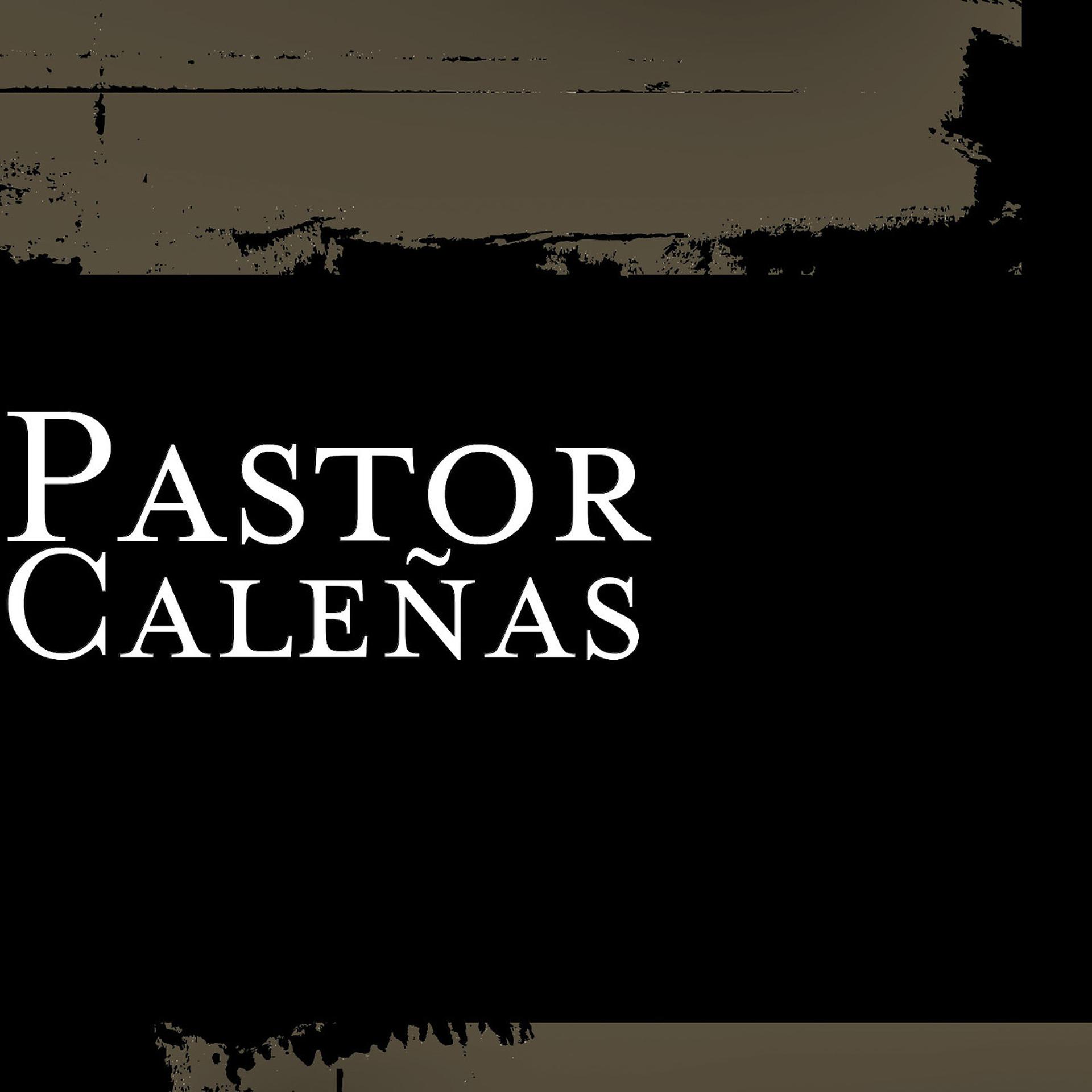 Постер альбома Caleñas