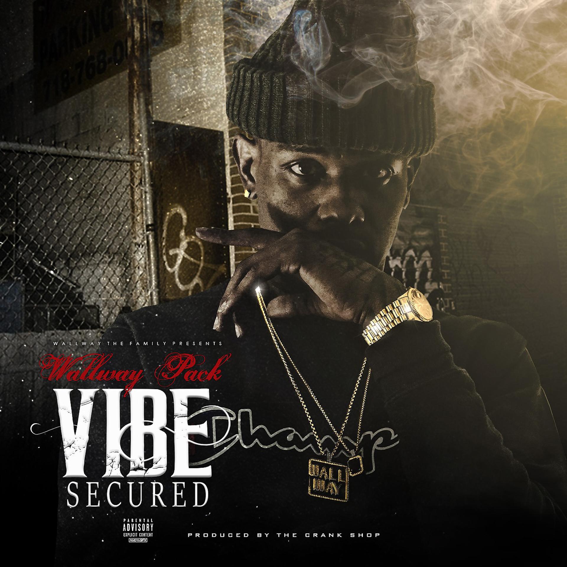 Постер альбома Vibe Secured