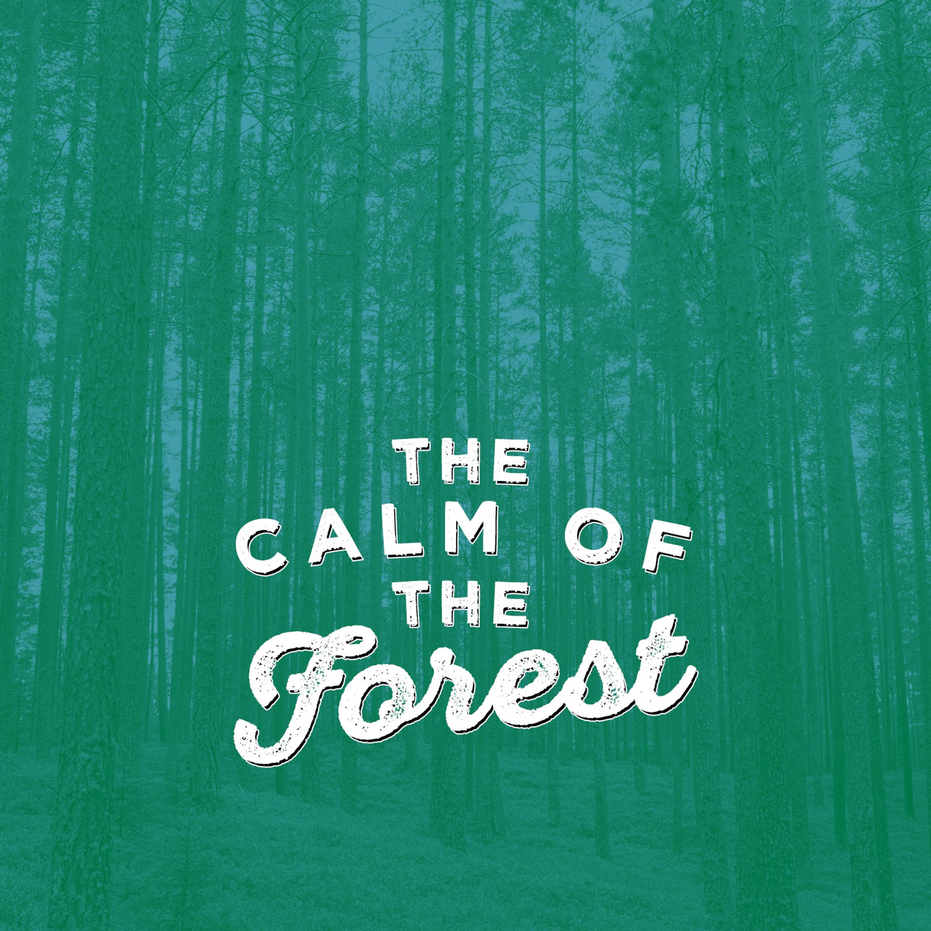 Постер альбома The Calm of the Forest