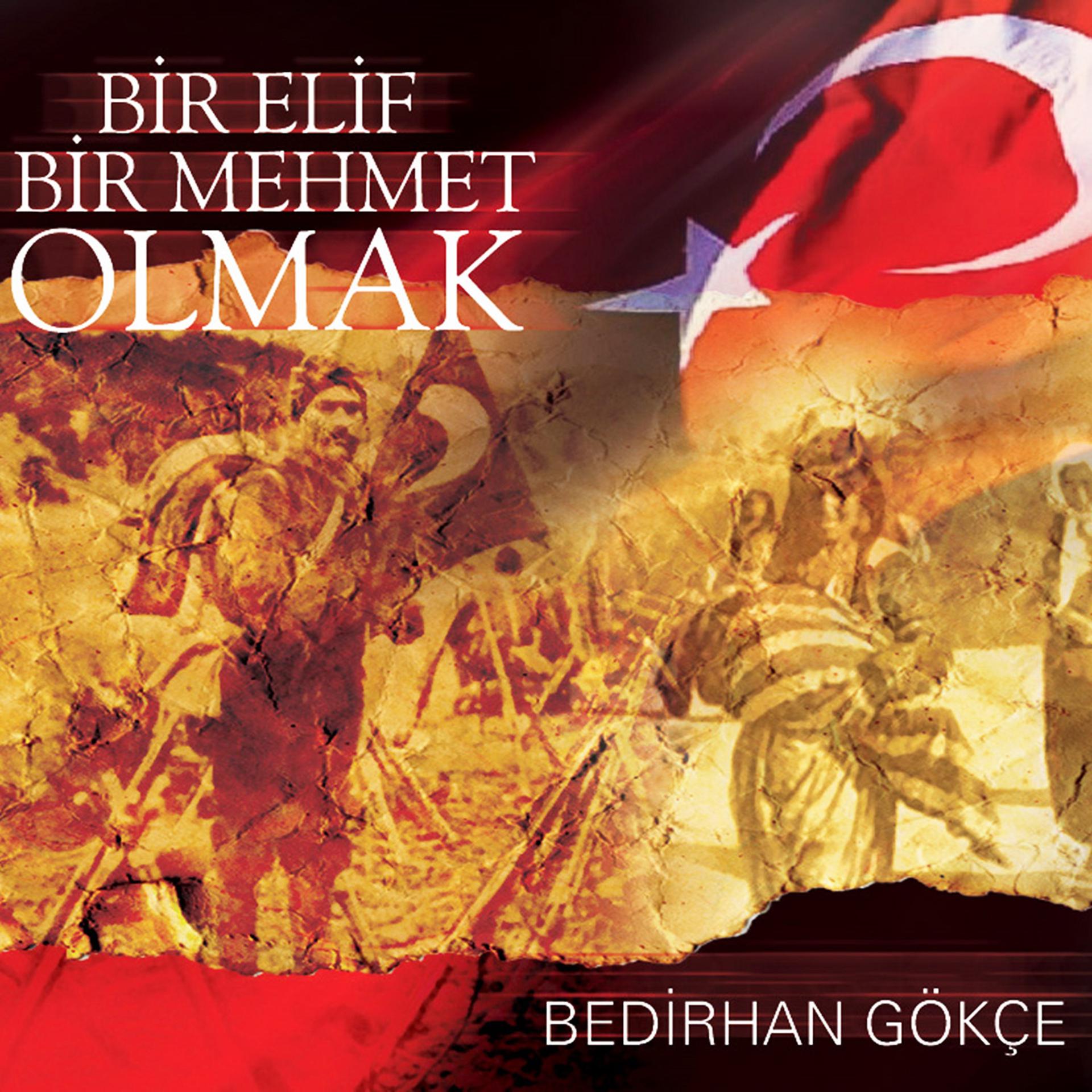 Постер альбома Bir Elif Bir Mehmet Olmak