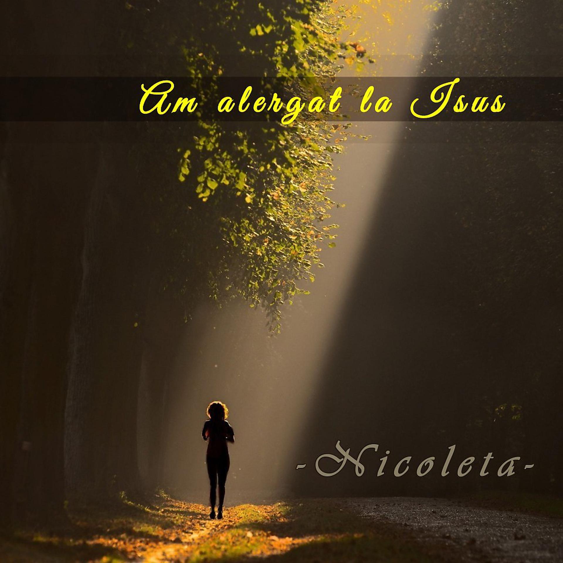 Постер альбома Am alergat la Isus