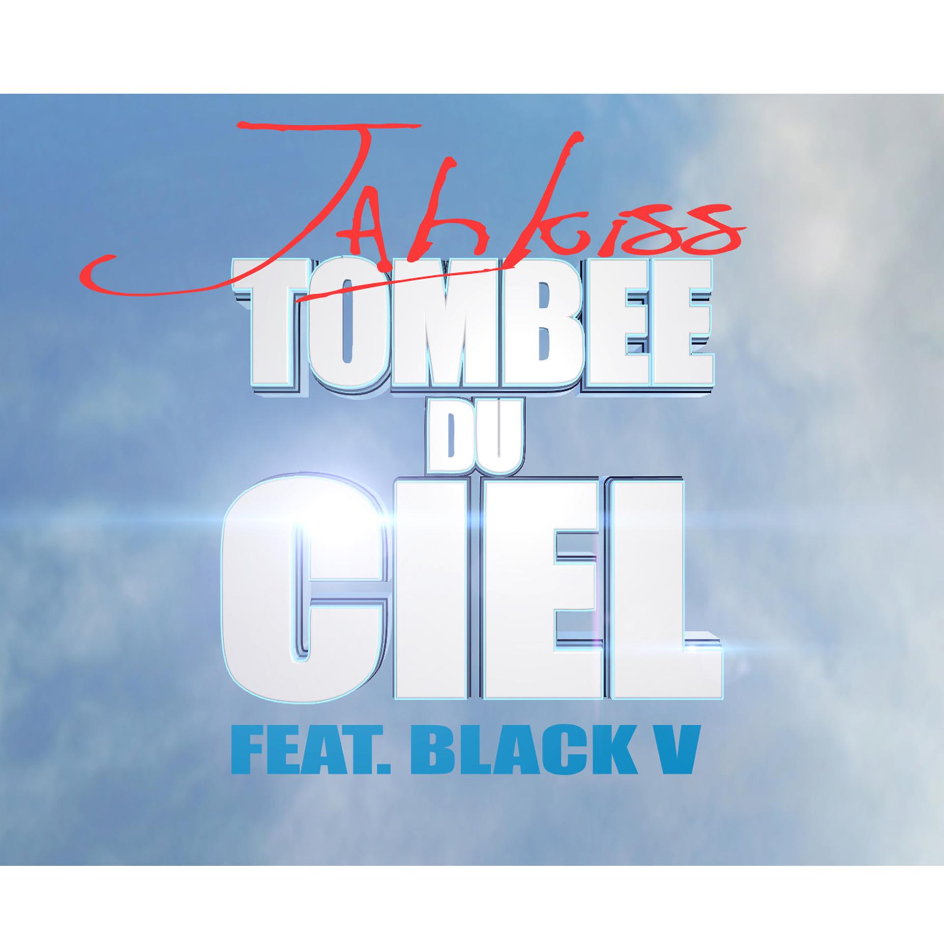 Постер альбома Tombé du ciel