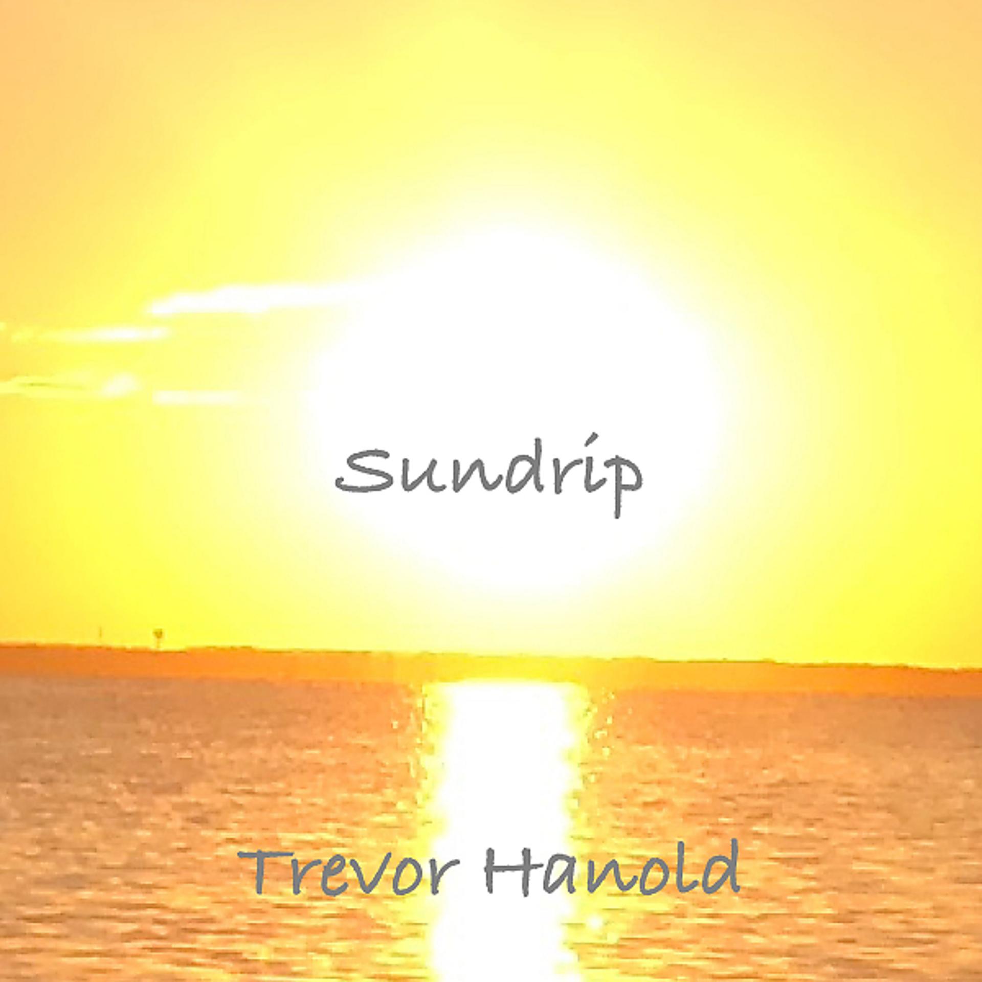 Постер альбома Sundrip