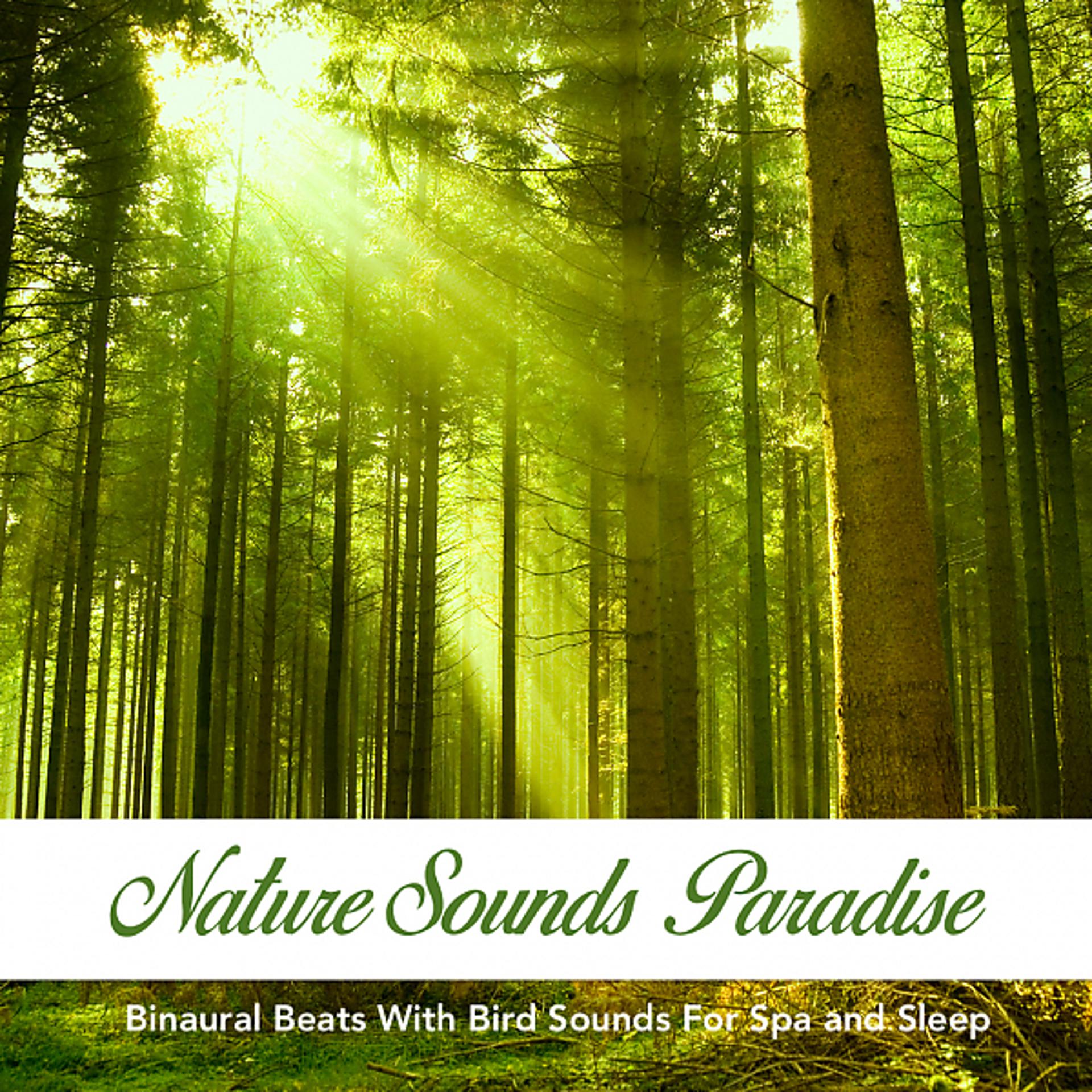Постер альбома Nature Sounds Paradise: Binaural Beats With Bird Sounds For Spa and Sleep