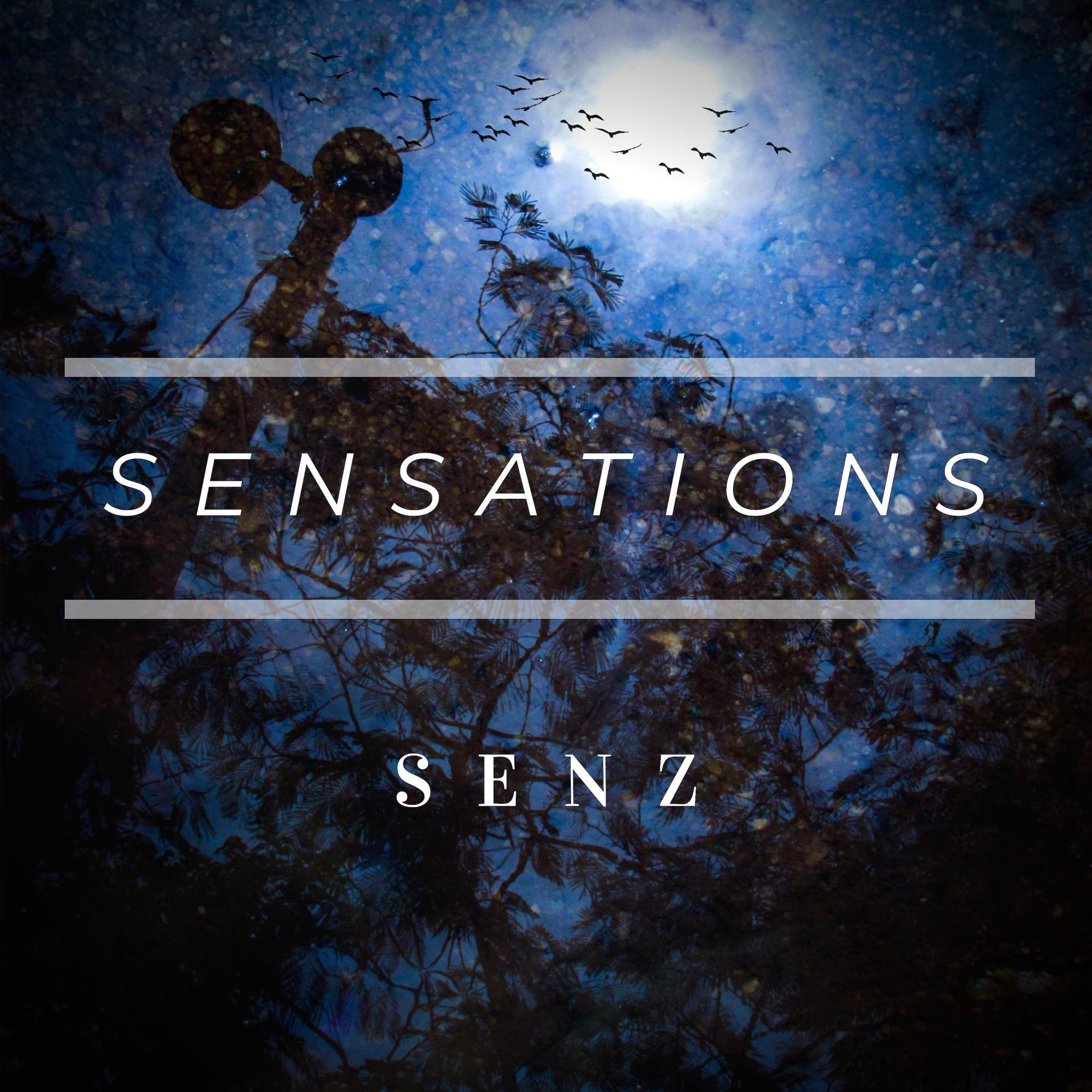 Постер альбома Sensations
