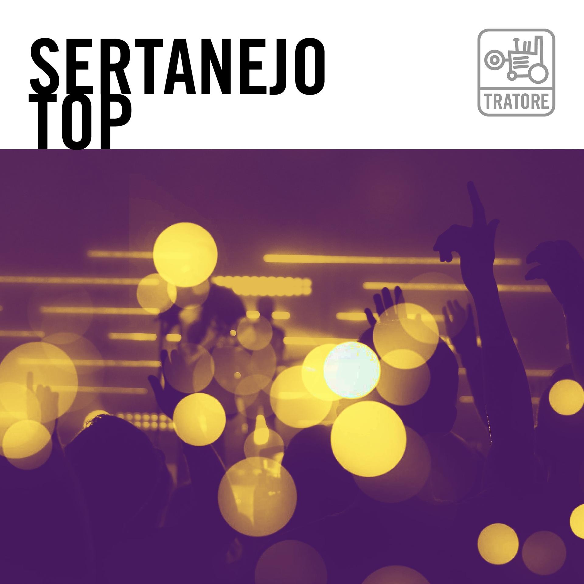 Постер альбома Sertanejo Top: O Melhor do Modão, Sofrência, Romântico e Na Balada