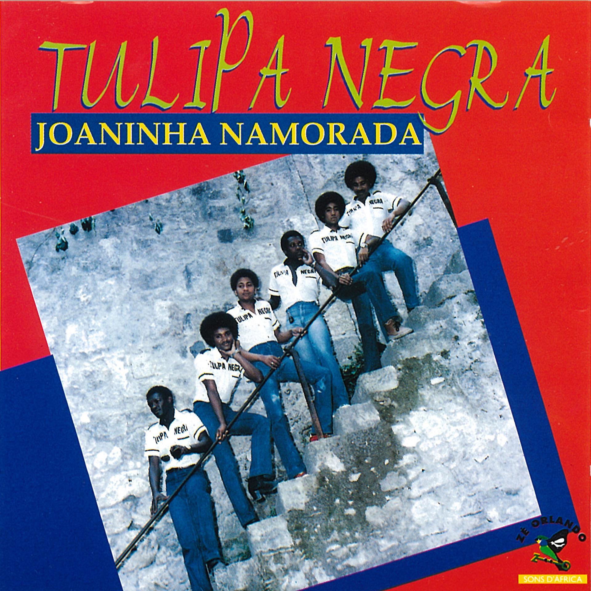 Постер альбома Joaninha Namorada