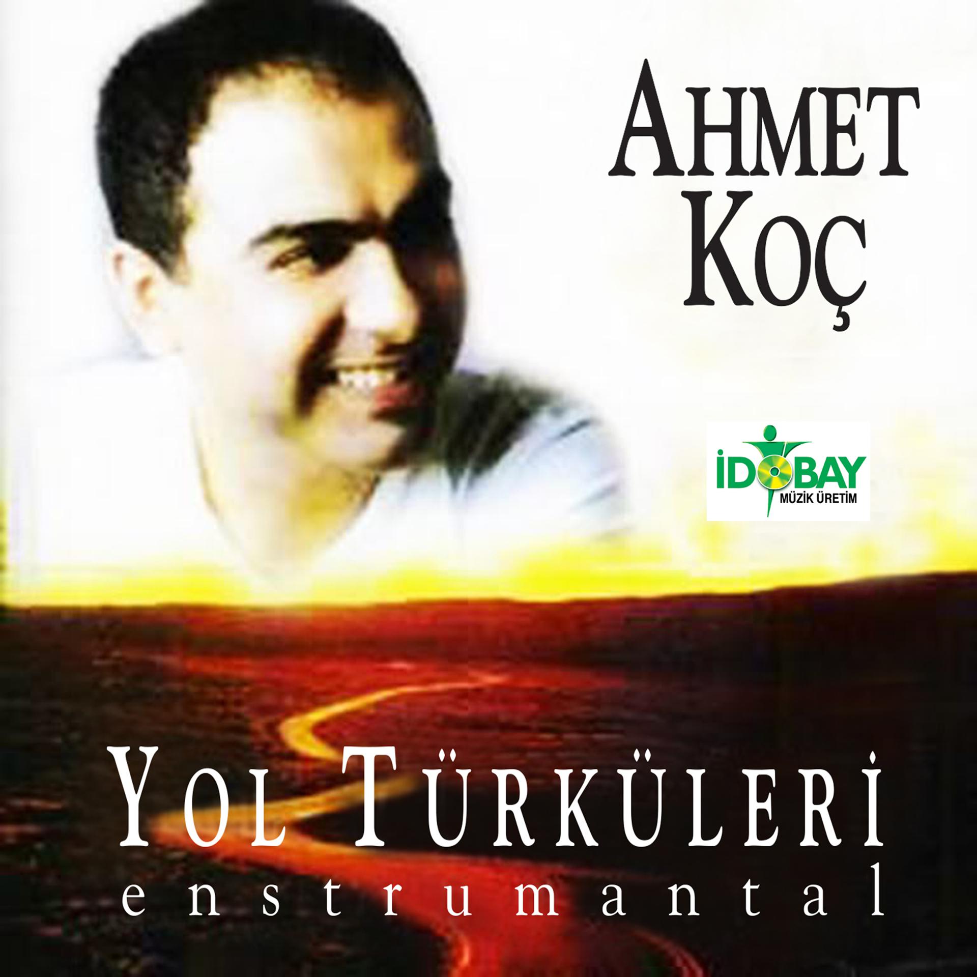 Постер альбома Yol Türküleri