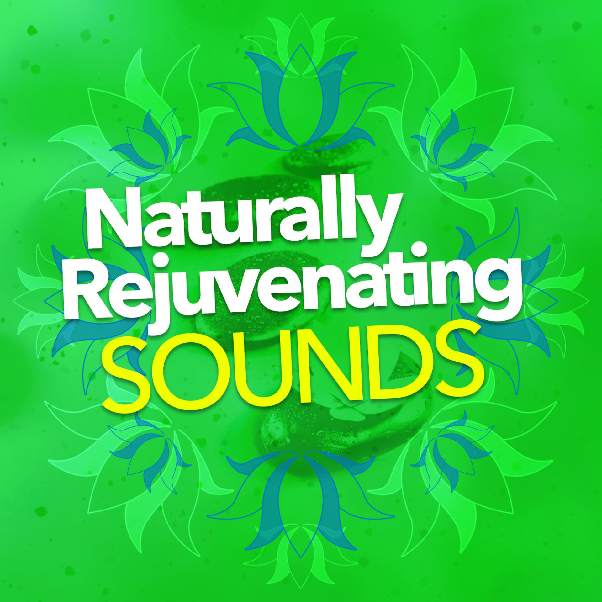 Постер альбома Naturally Rejuvenating Sounds