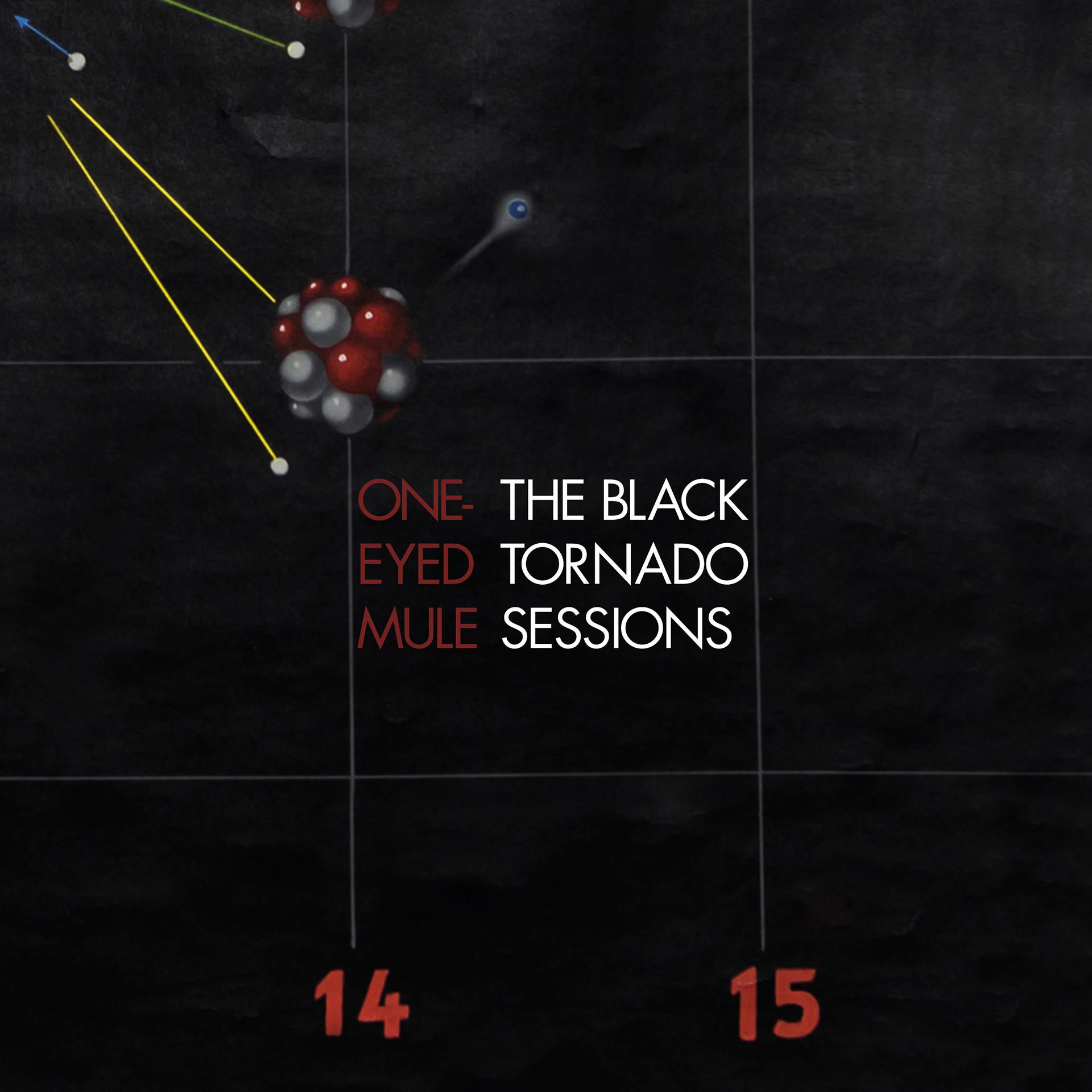 Постер альбома The Black Tornado Sessions