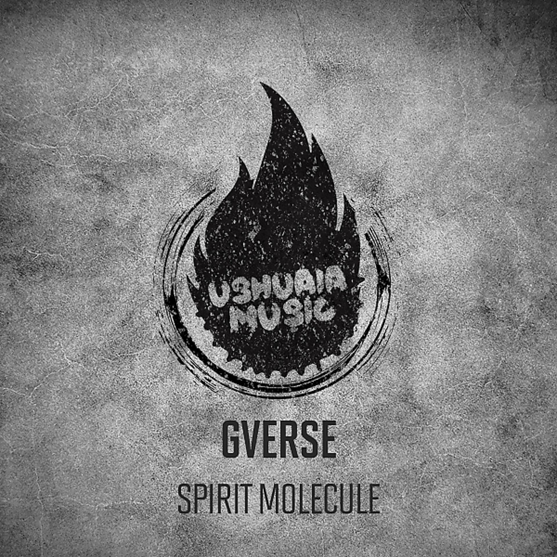 Постер альбома Spirit Molecule