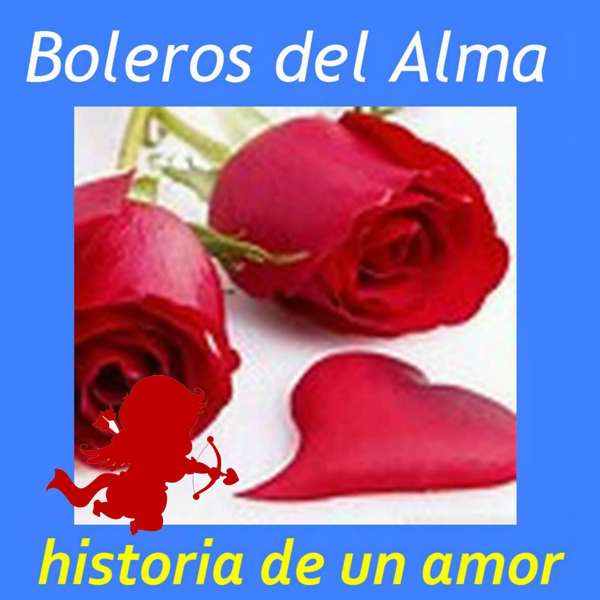 Постер альбома Boleros del Alma: Historia de un Amor