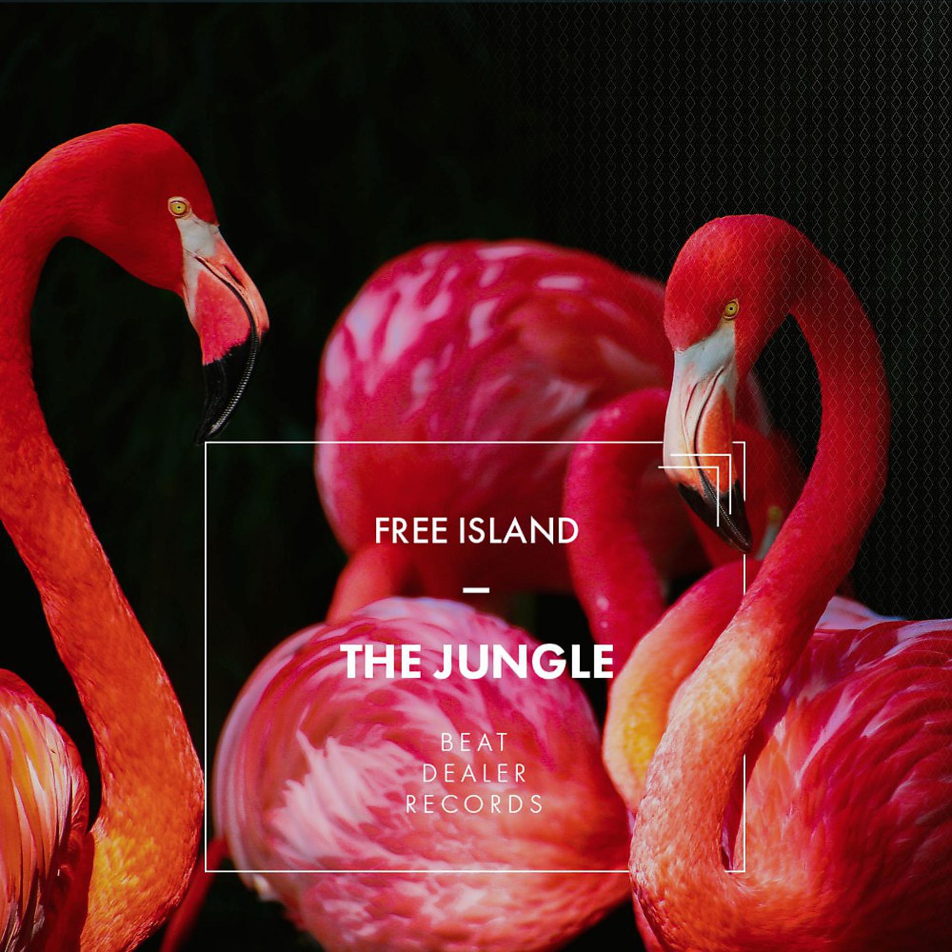 Постер альбома The Jungle