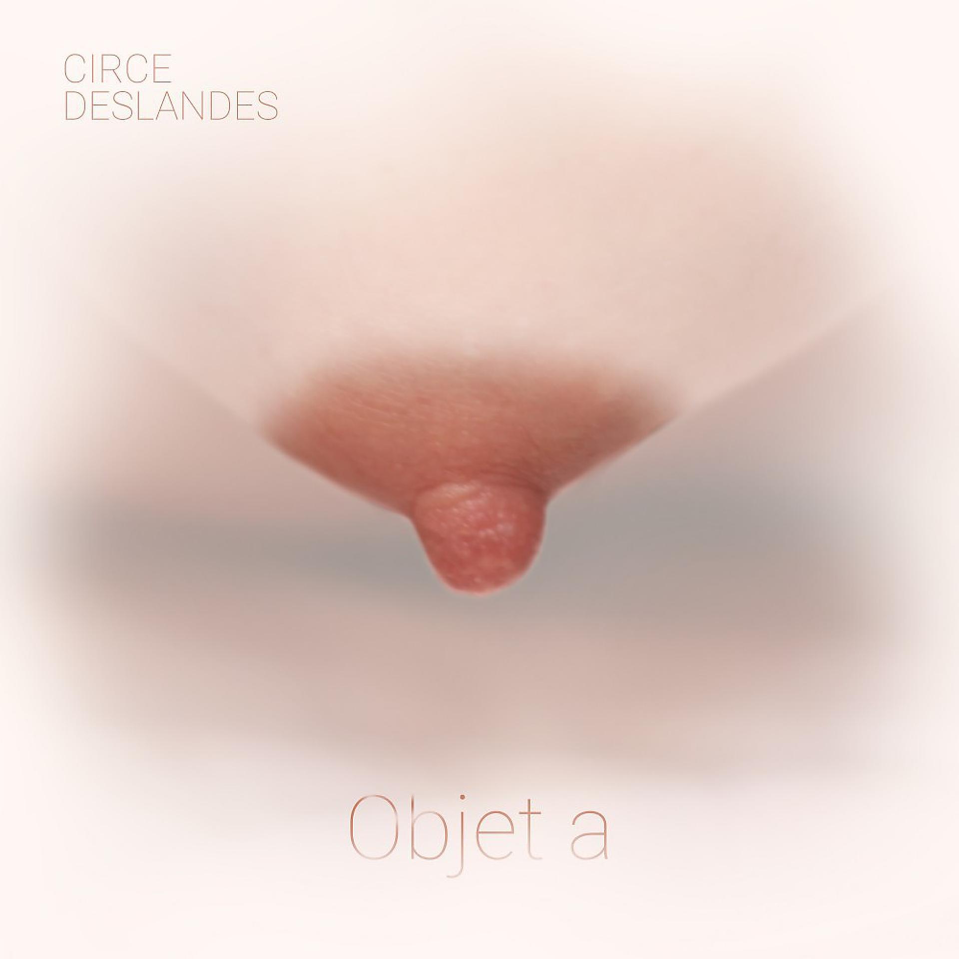 Постер альбома Objet a