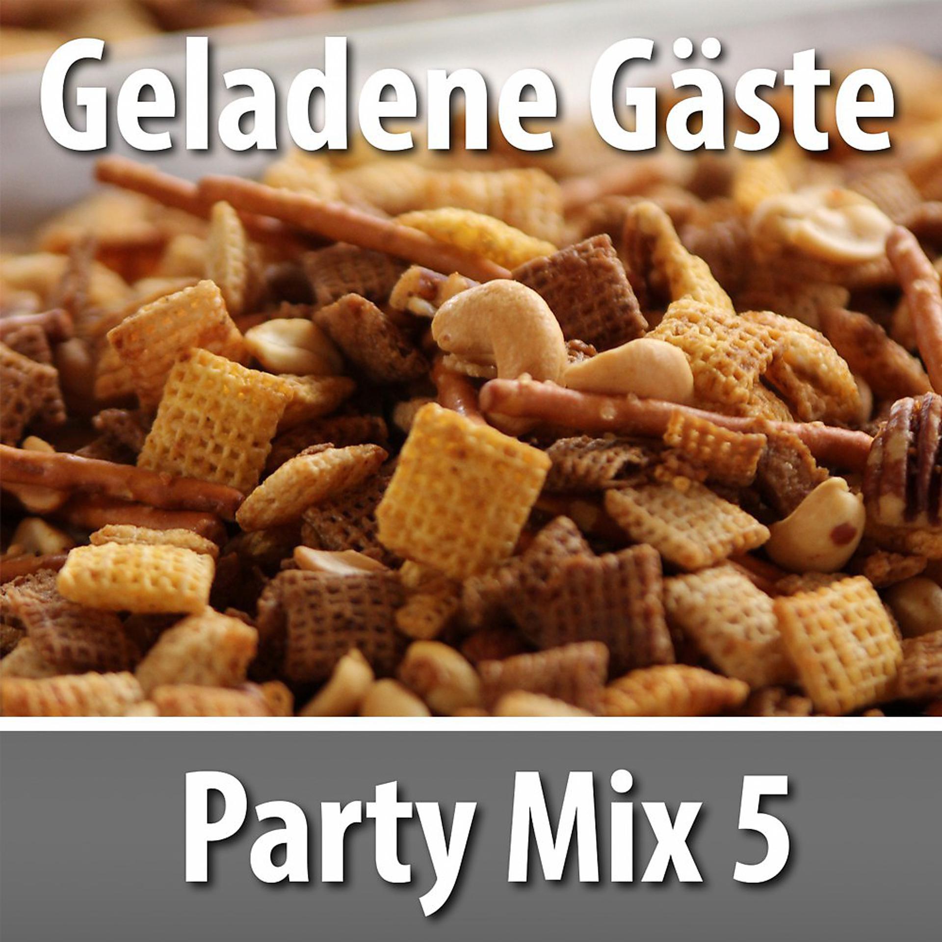 Постер альбома Geladene Gäste: Party Mix 5