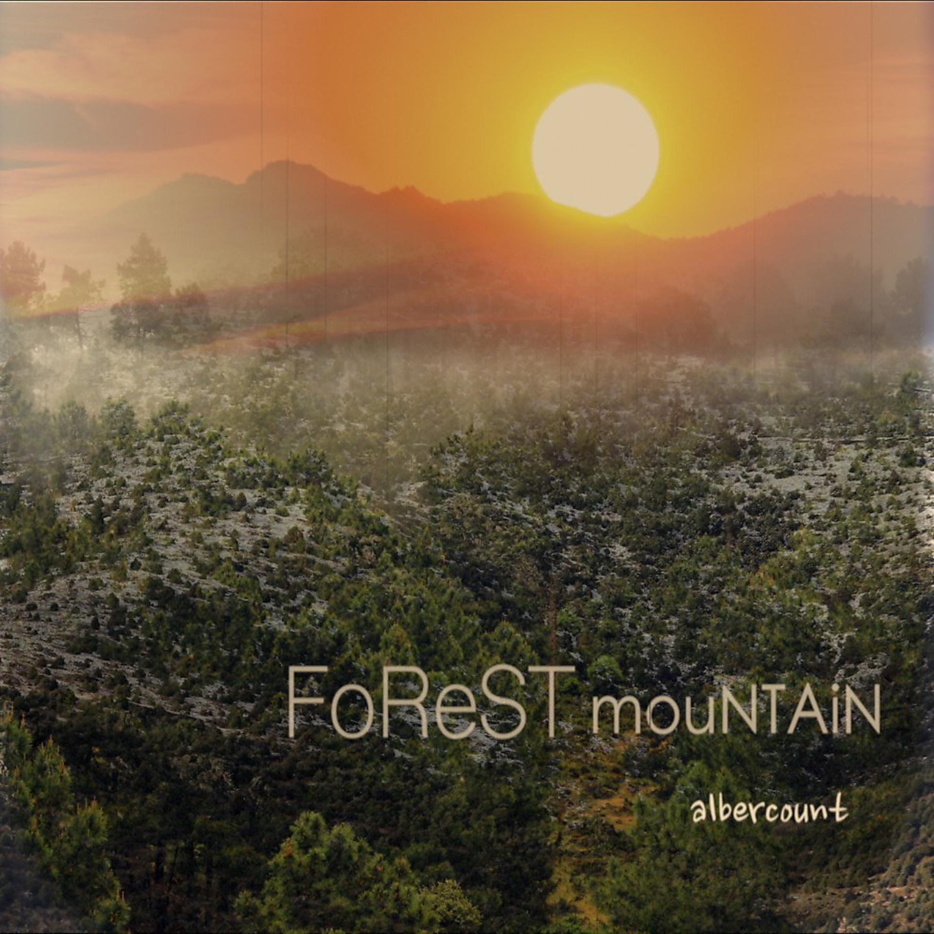 Постер альбома Forest Mountain