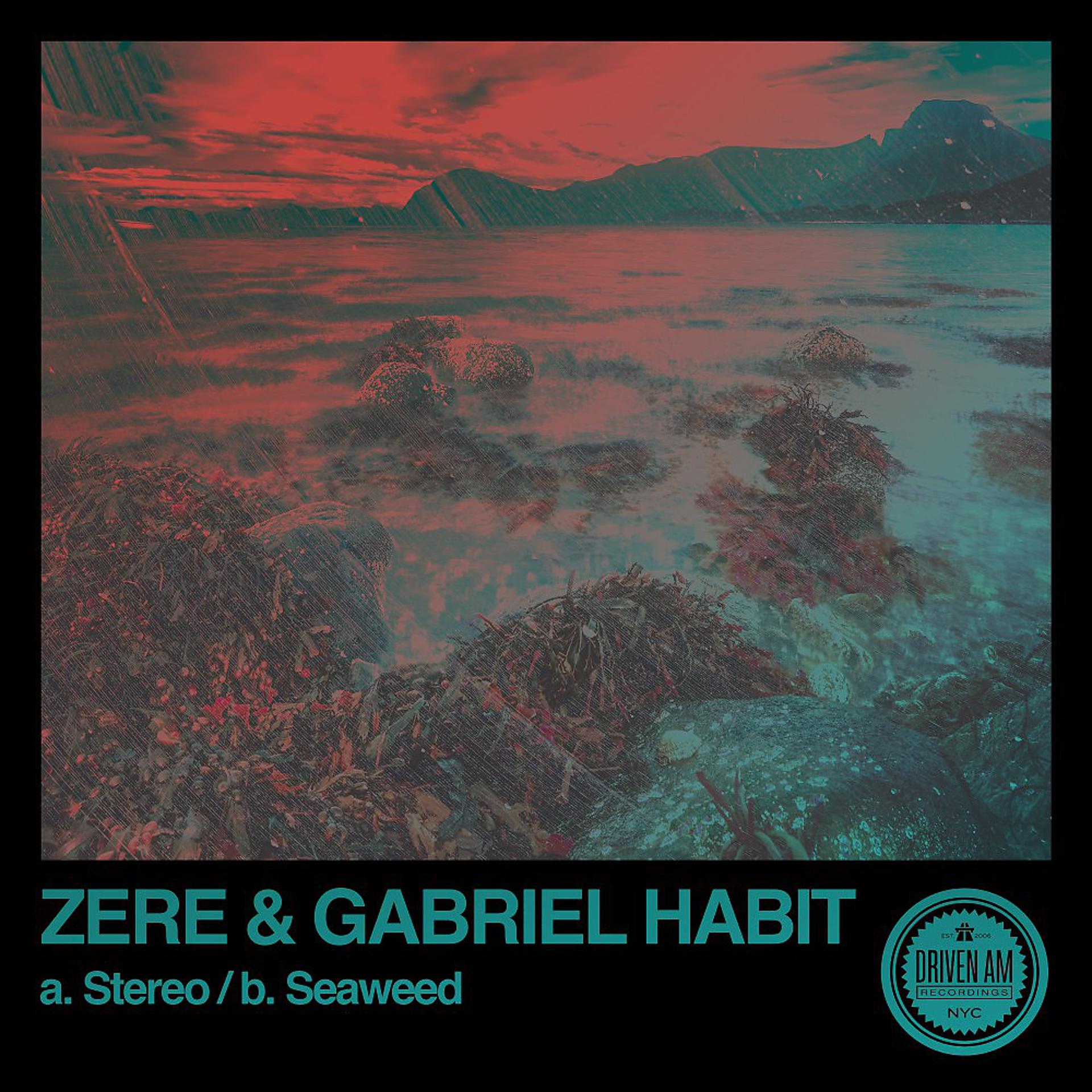 Постер альбома Stereo / Seaweed
