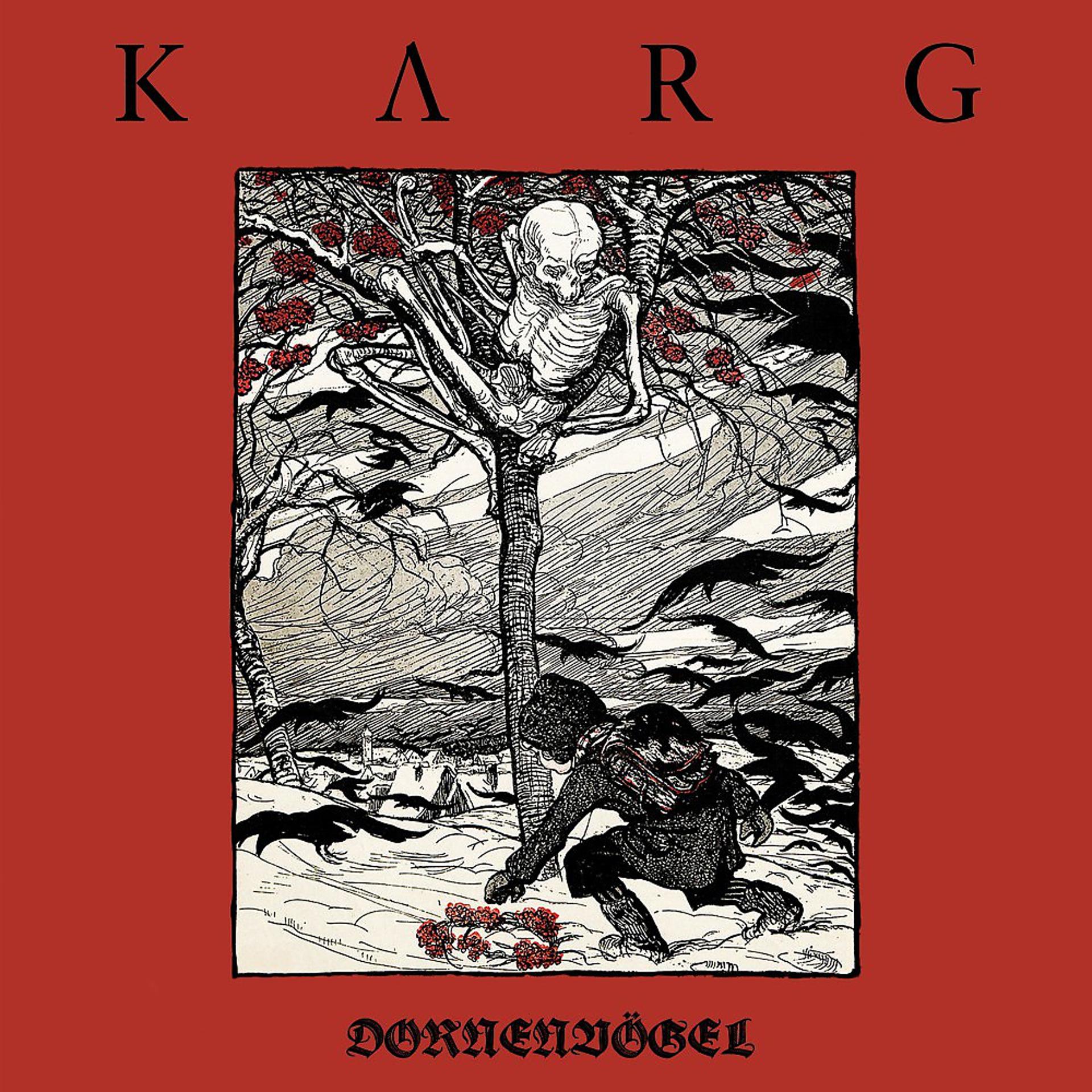 Постер альбома Dornenvögel