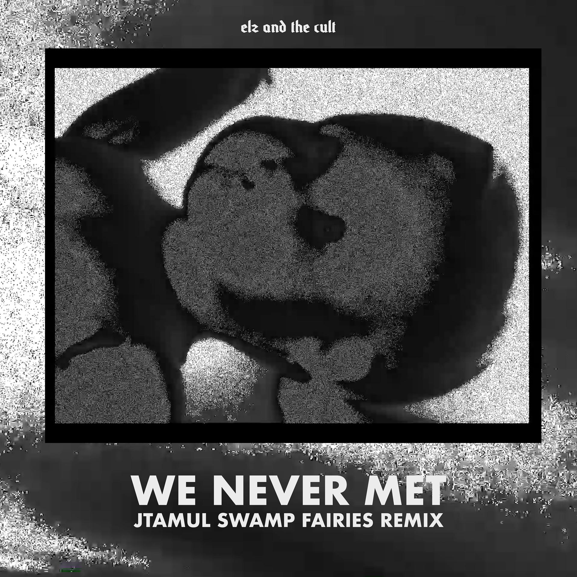 Постер альбома We Never Met (jtamul Swamp Fairies Remix)