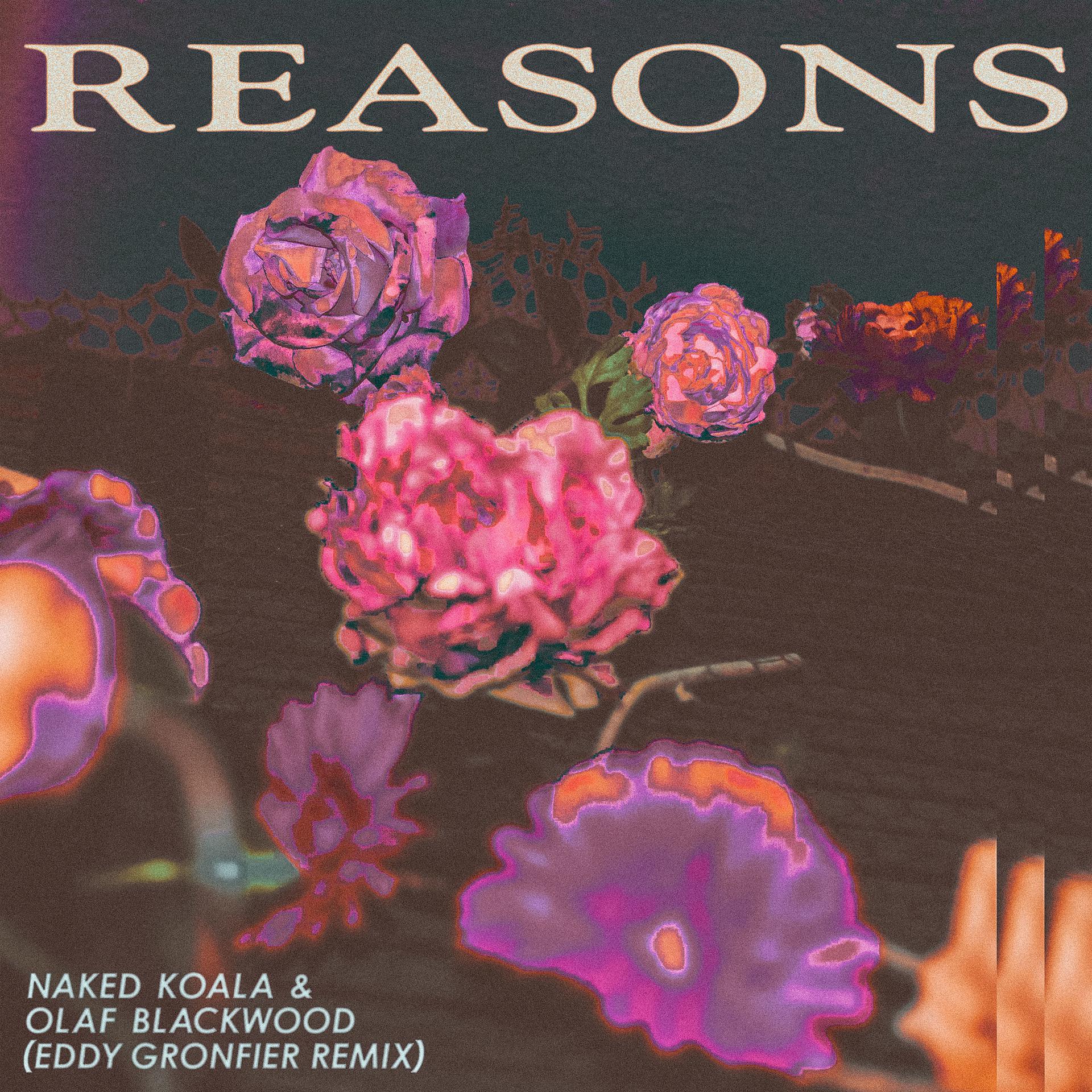Постер альбома Reasons (Eddy Gronfier Remix)