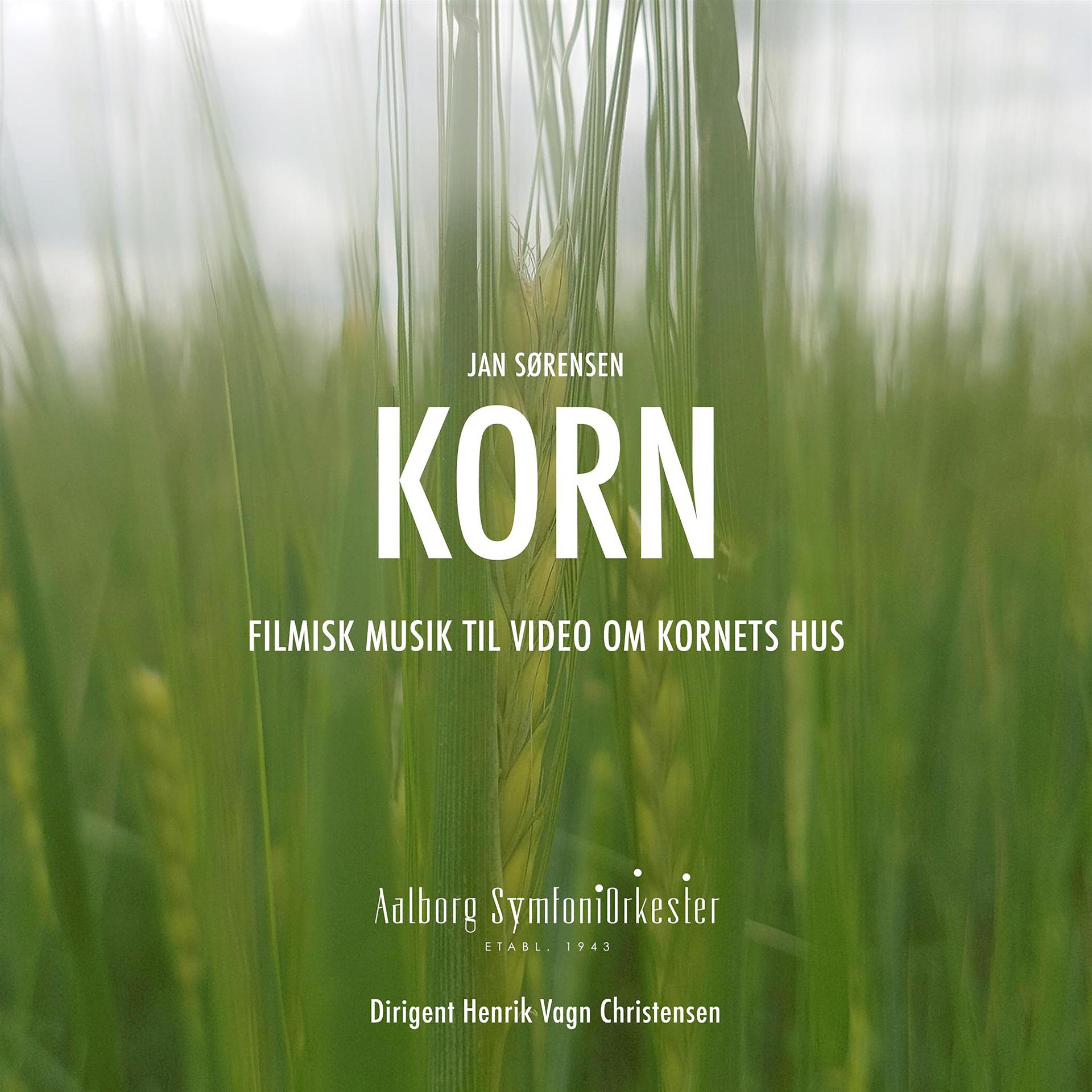 Постер альбома Korn