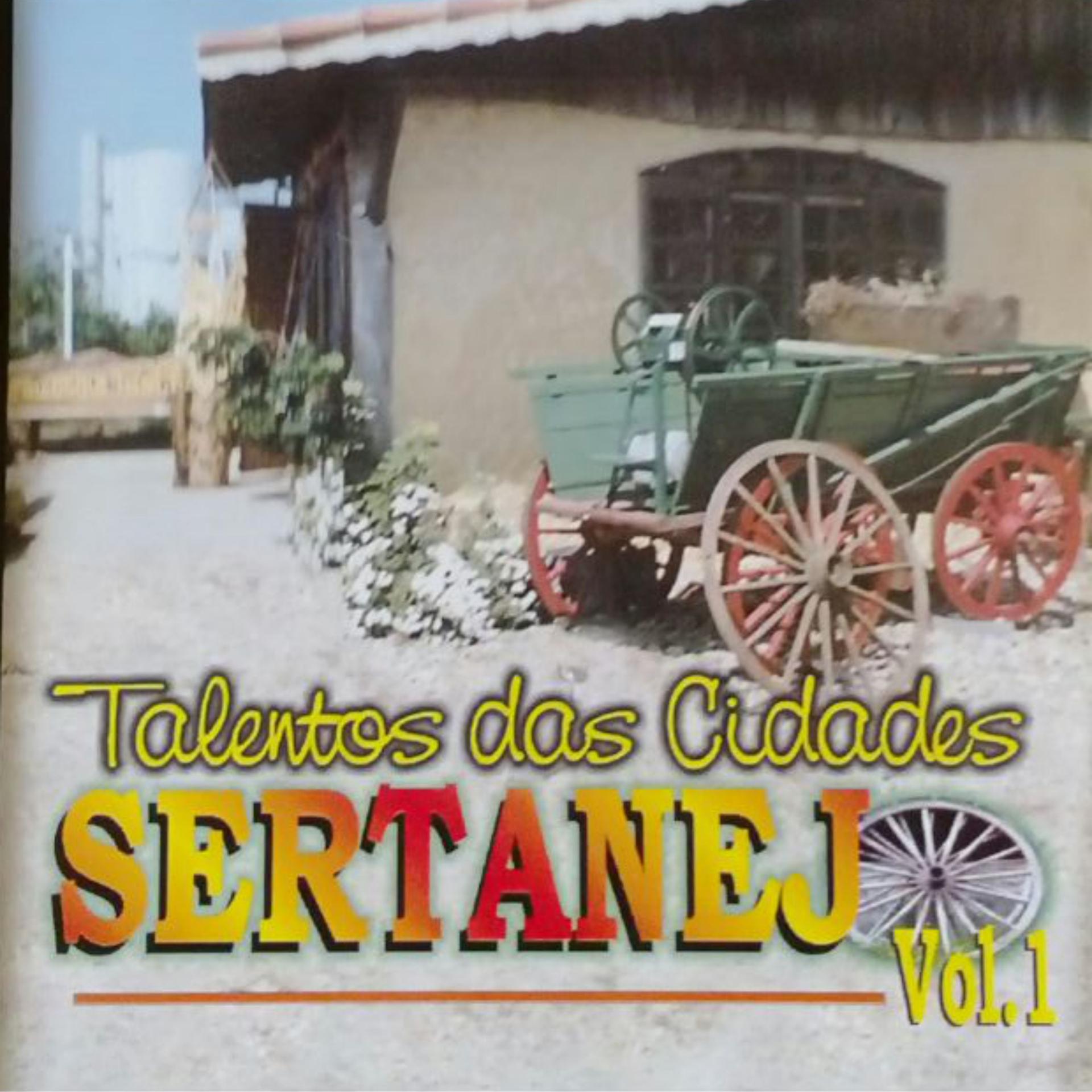Постер альбома Talentos das Cidades, Sertanejo, Vol. 1