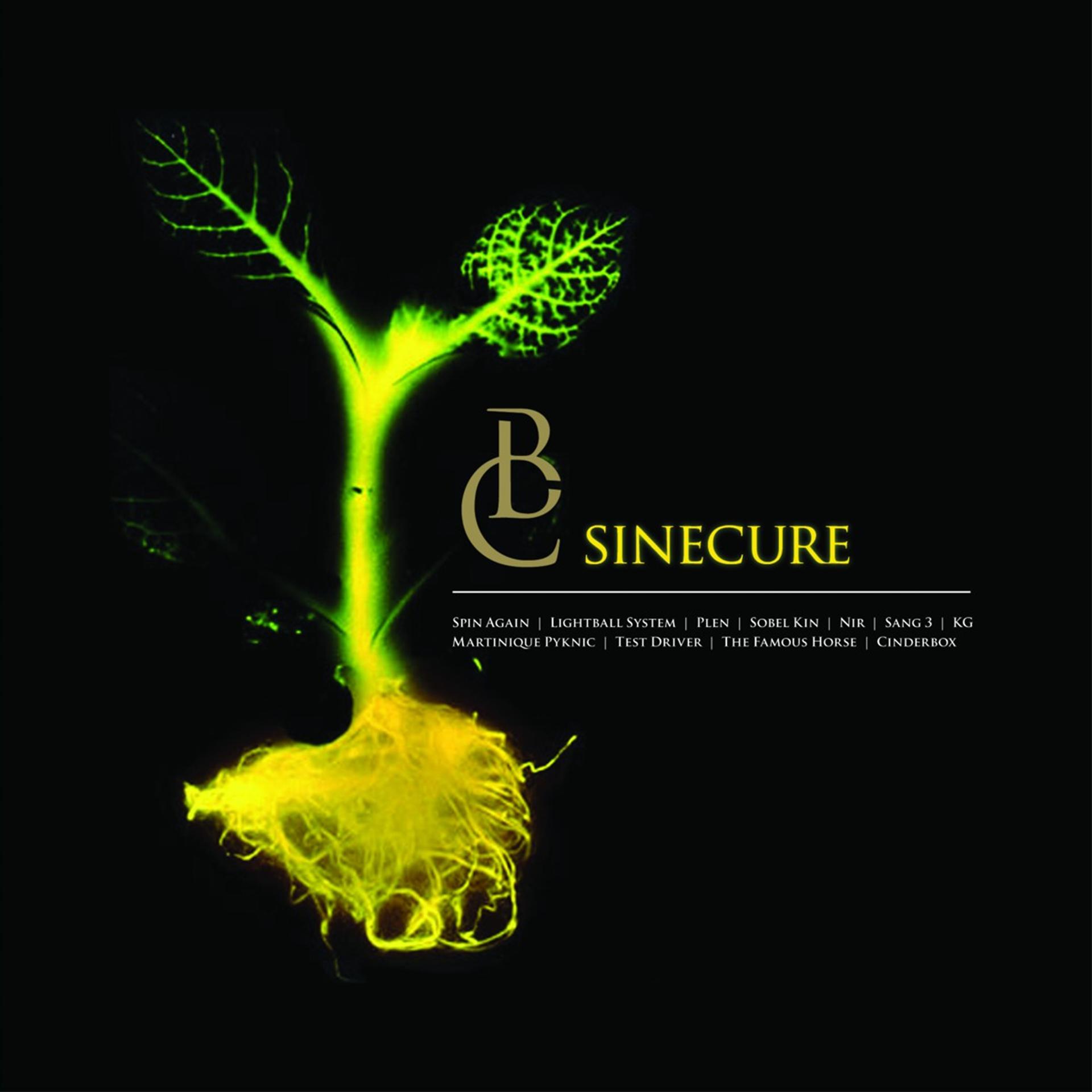 Постер альбома Sinecure