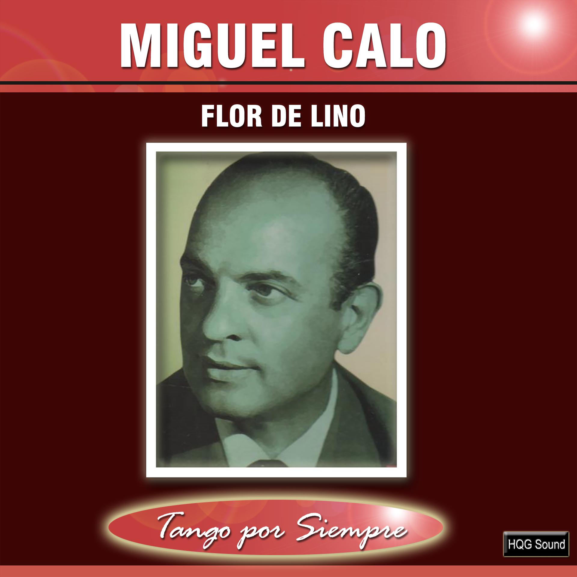 Постер альбома Flor de Lino