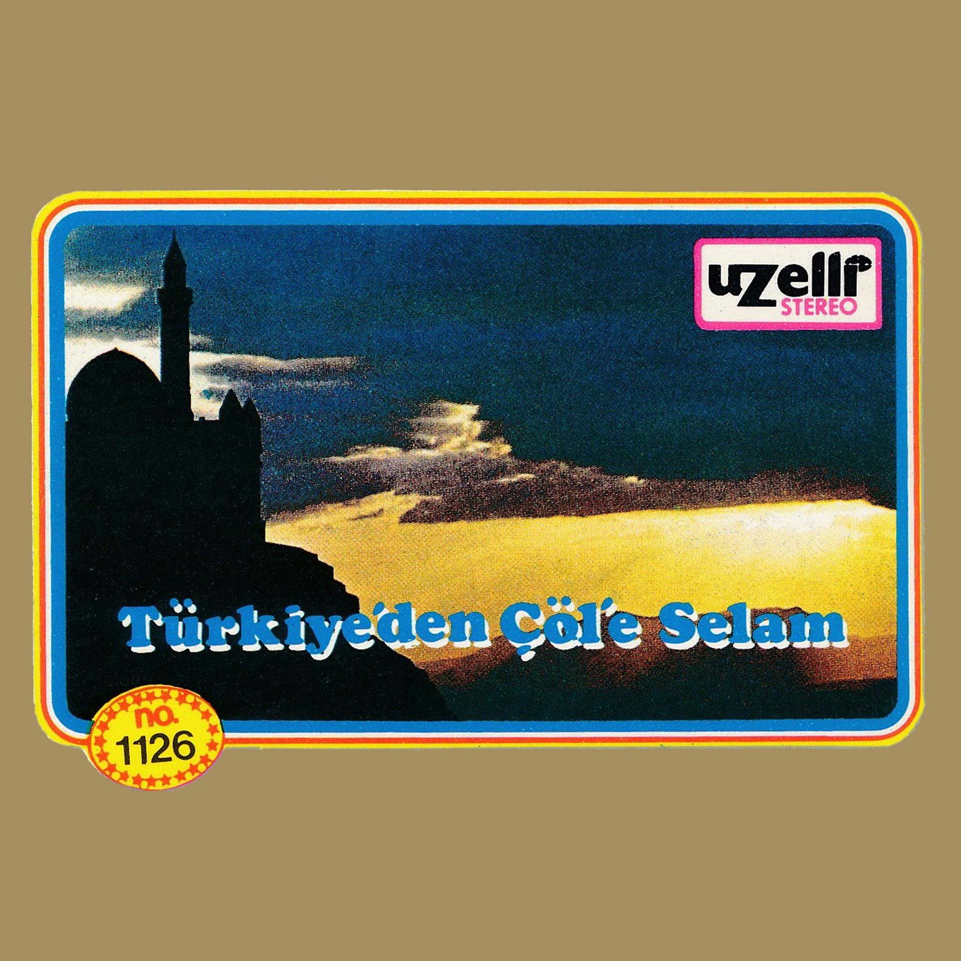 Постер альбома Türkiye'den Çöle Selam