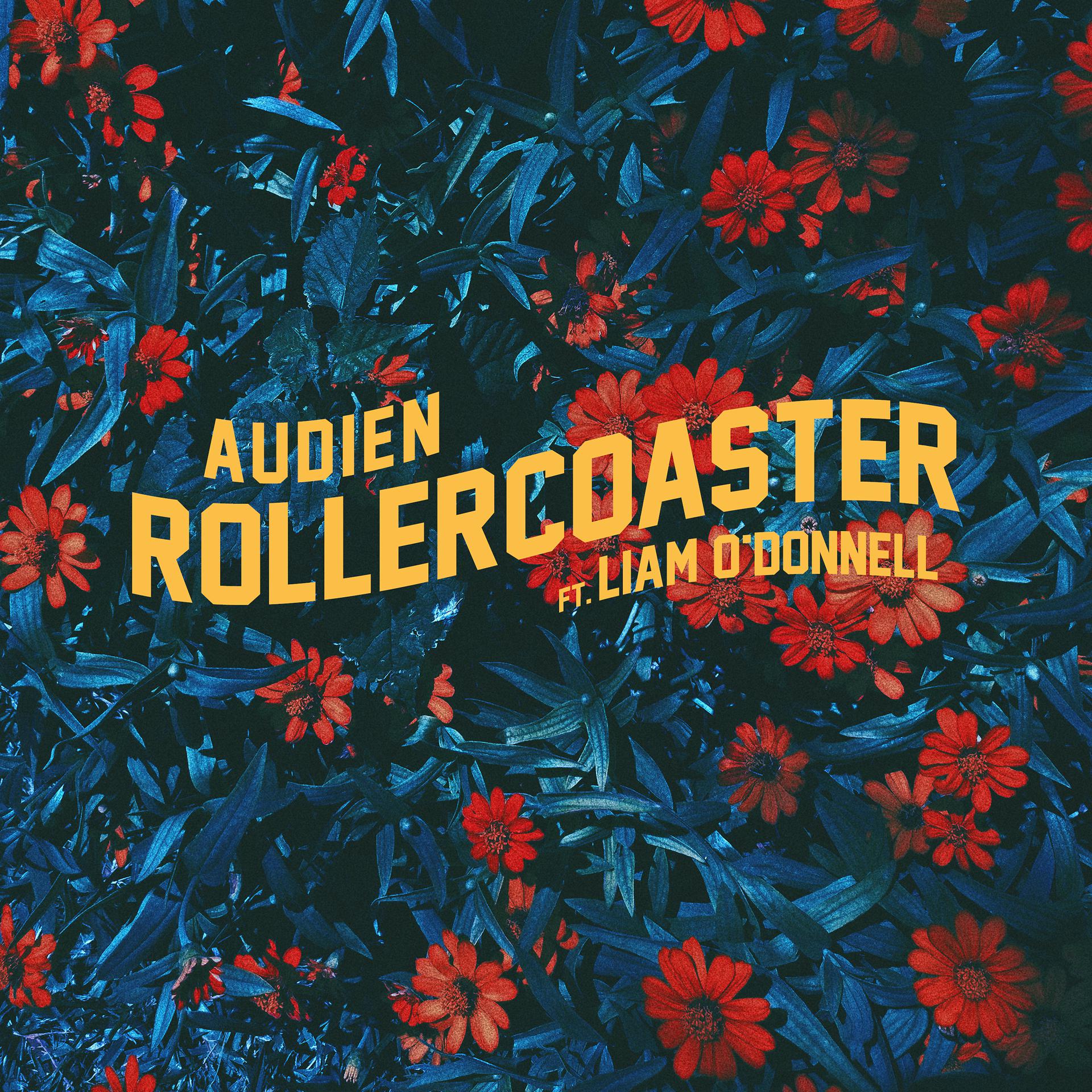 Постер альбома Rollercoaster