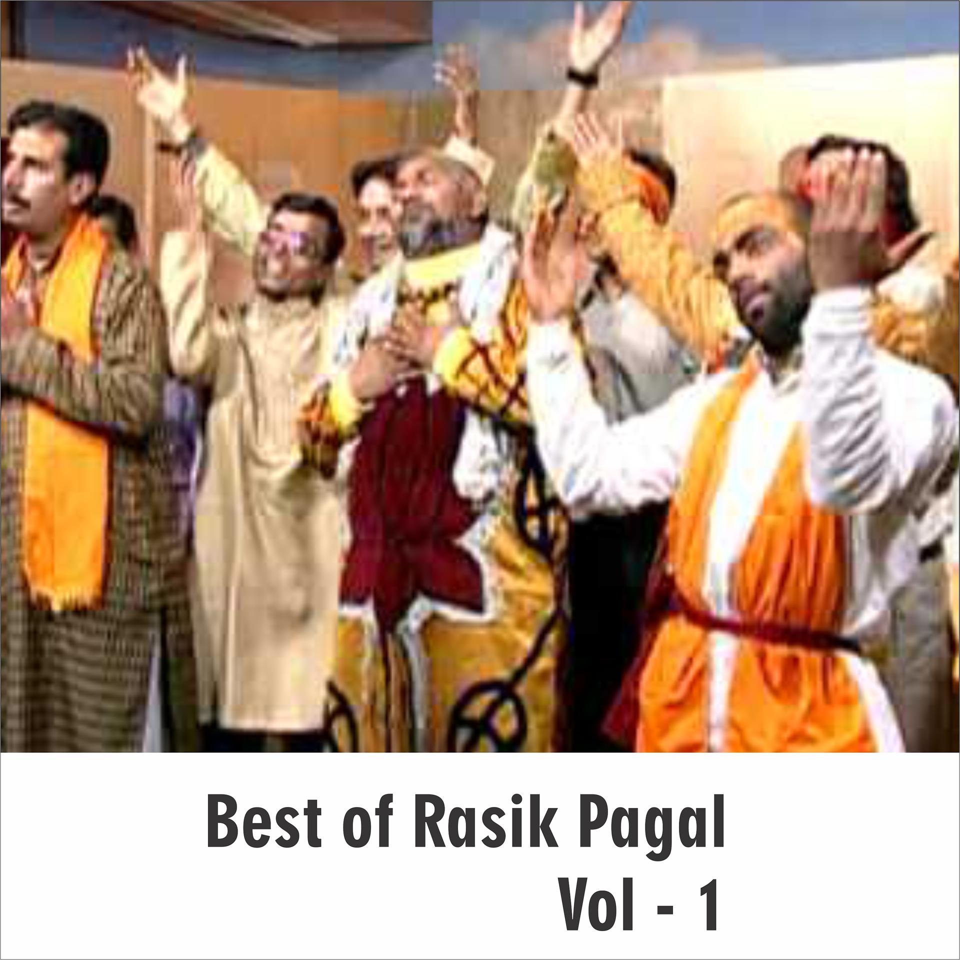 Постер альбома Best of Rasik Pagal, Vol. 1