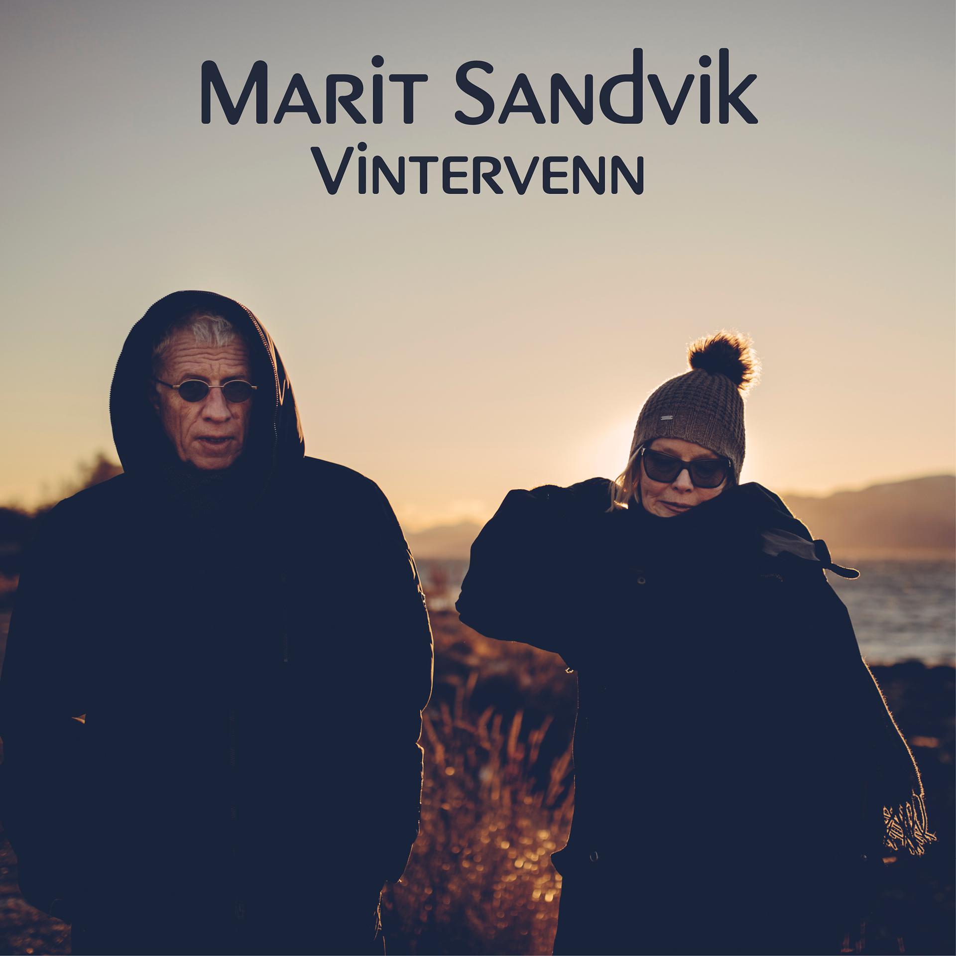 Постер альбома Vintervenn